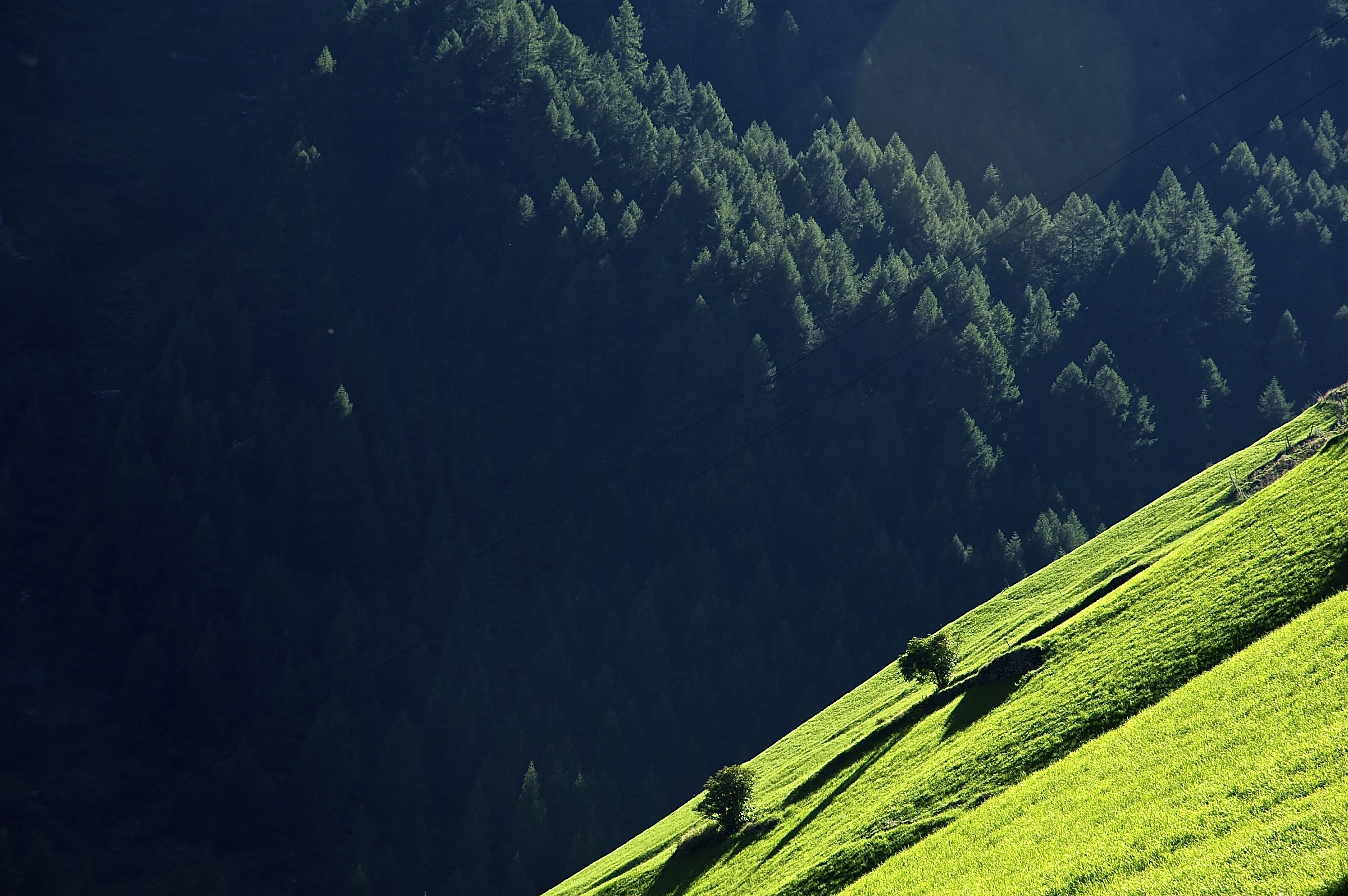 Contrasts in Val Selales