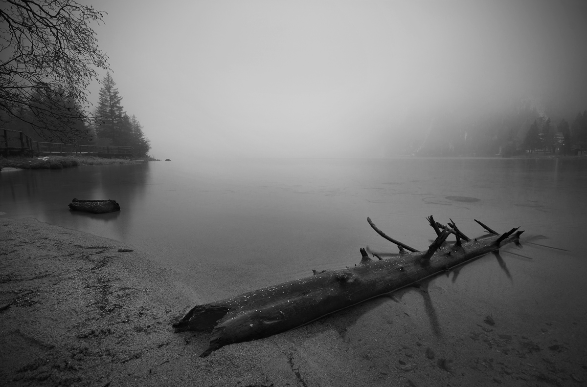 First light in the fog