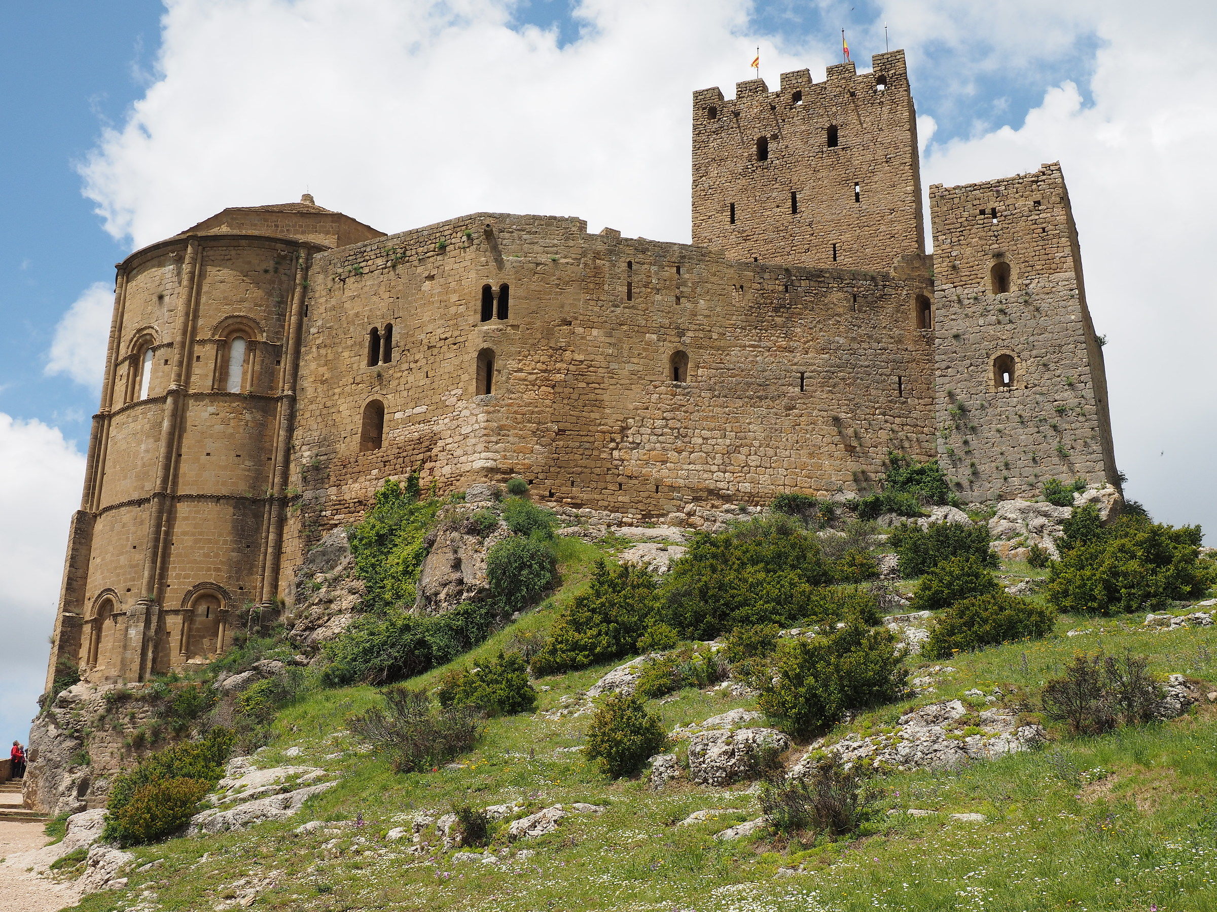 OLY M. Zuiko 7-14 PRO distorsioni