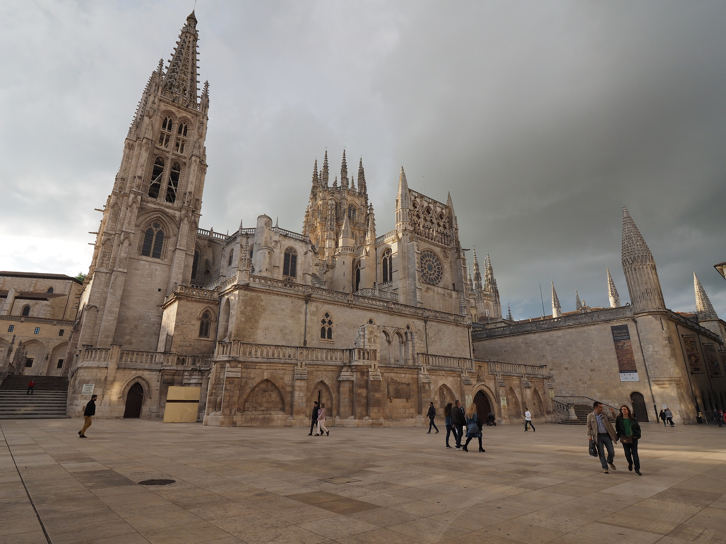 OLY M. Zuiko 7-14 PRO distorsioni