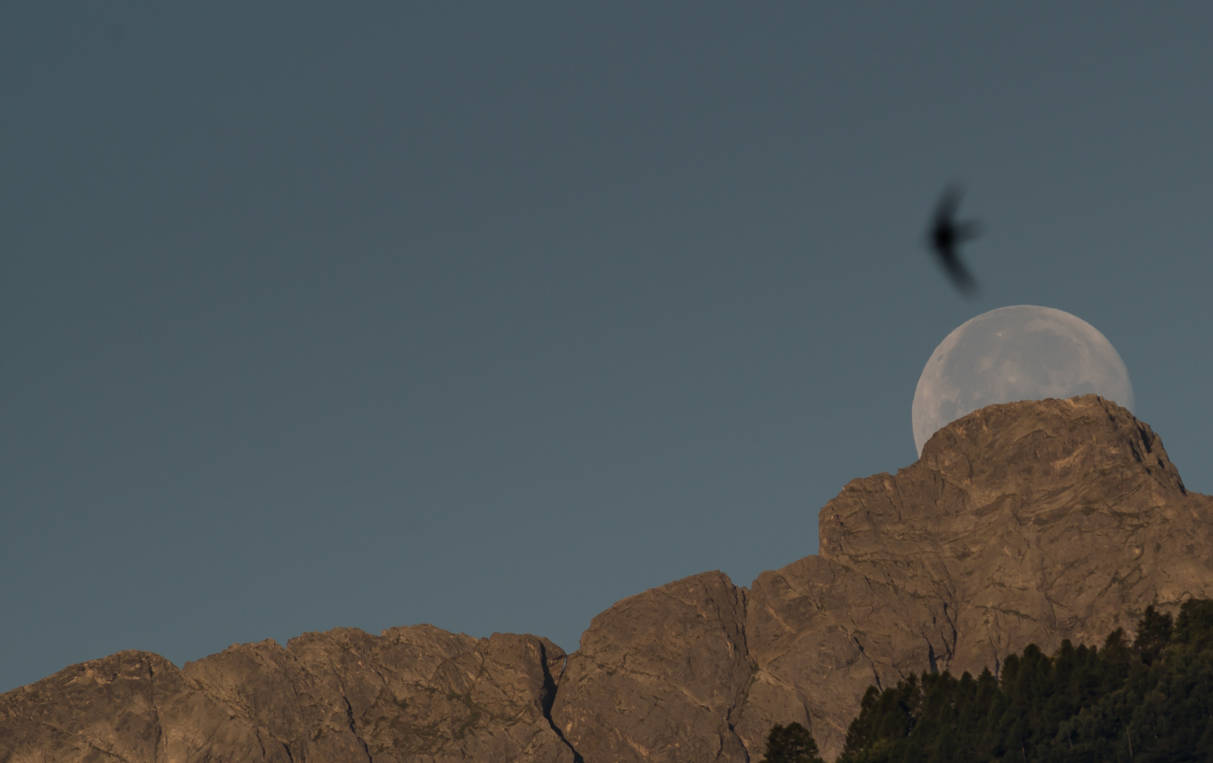 Non tutto può sempre essere a fuoco ,,