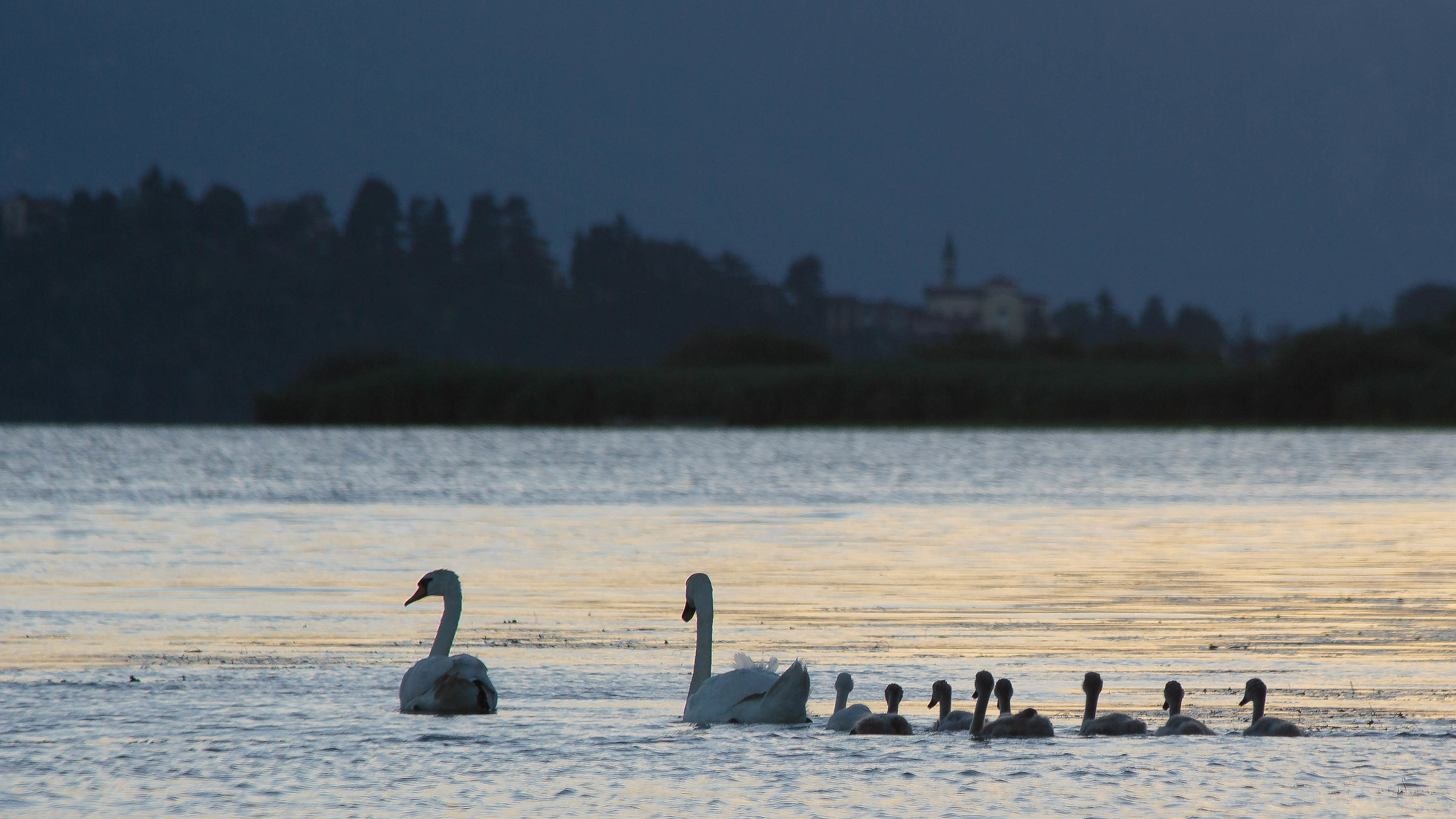 Il ritorno a casa ...