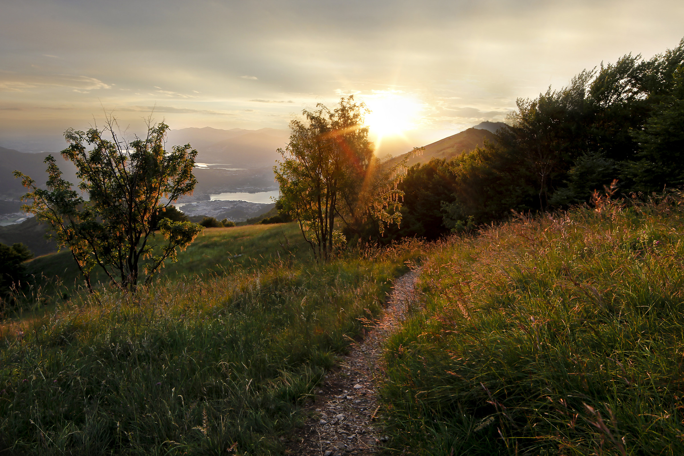 The last Ray of sunshine