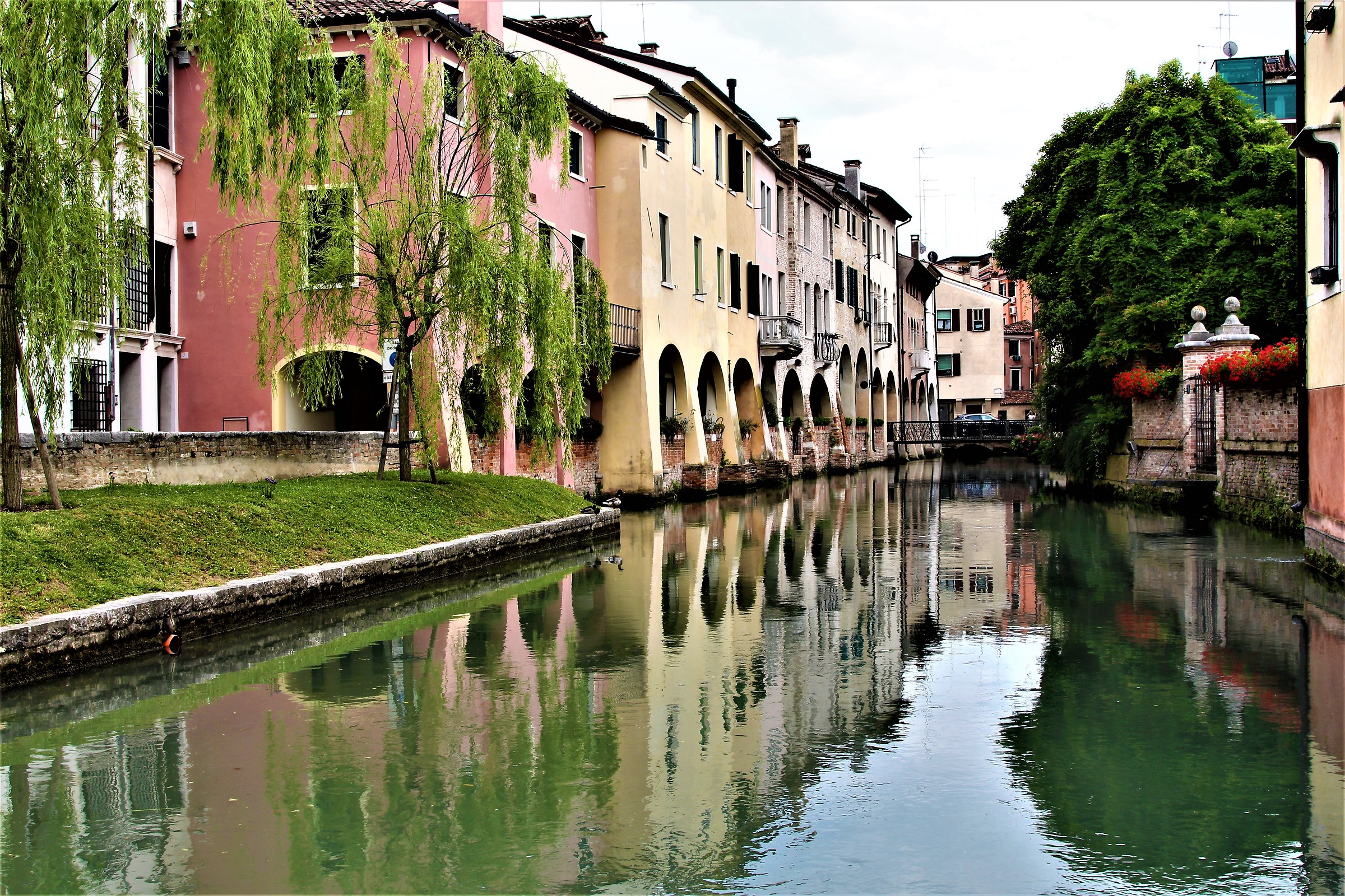 Reflexes in Treviso