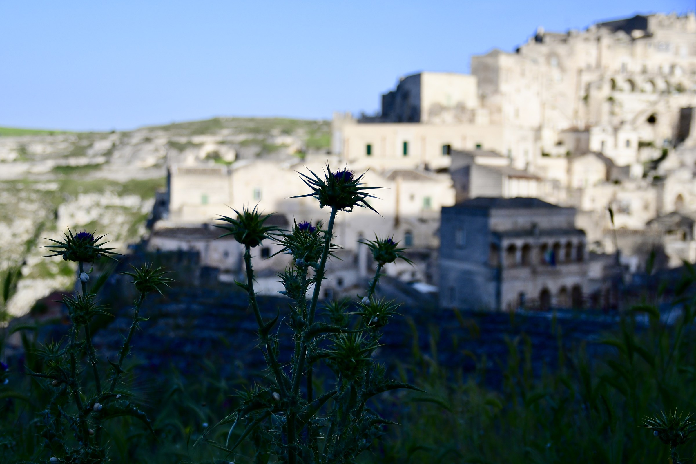 Matera