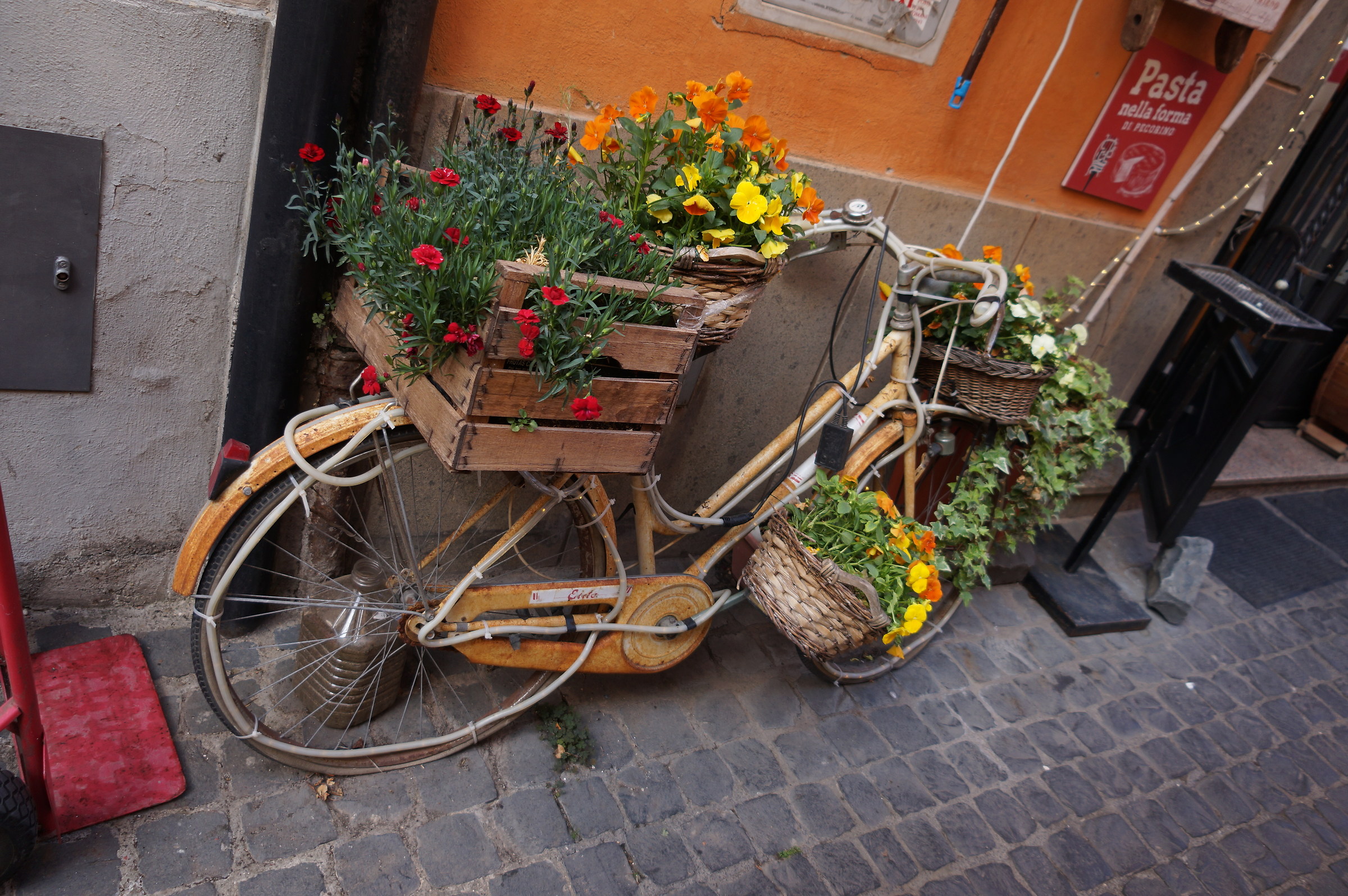 The Floral Bike