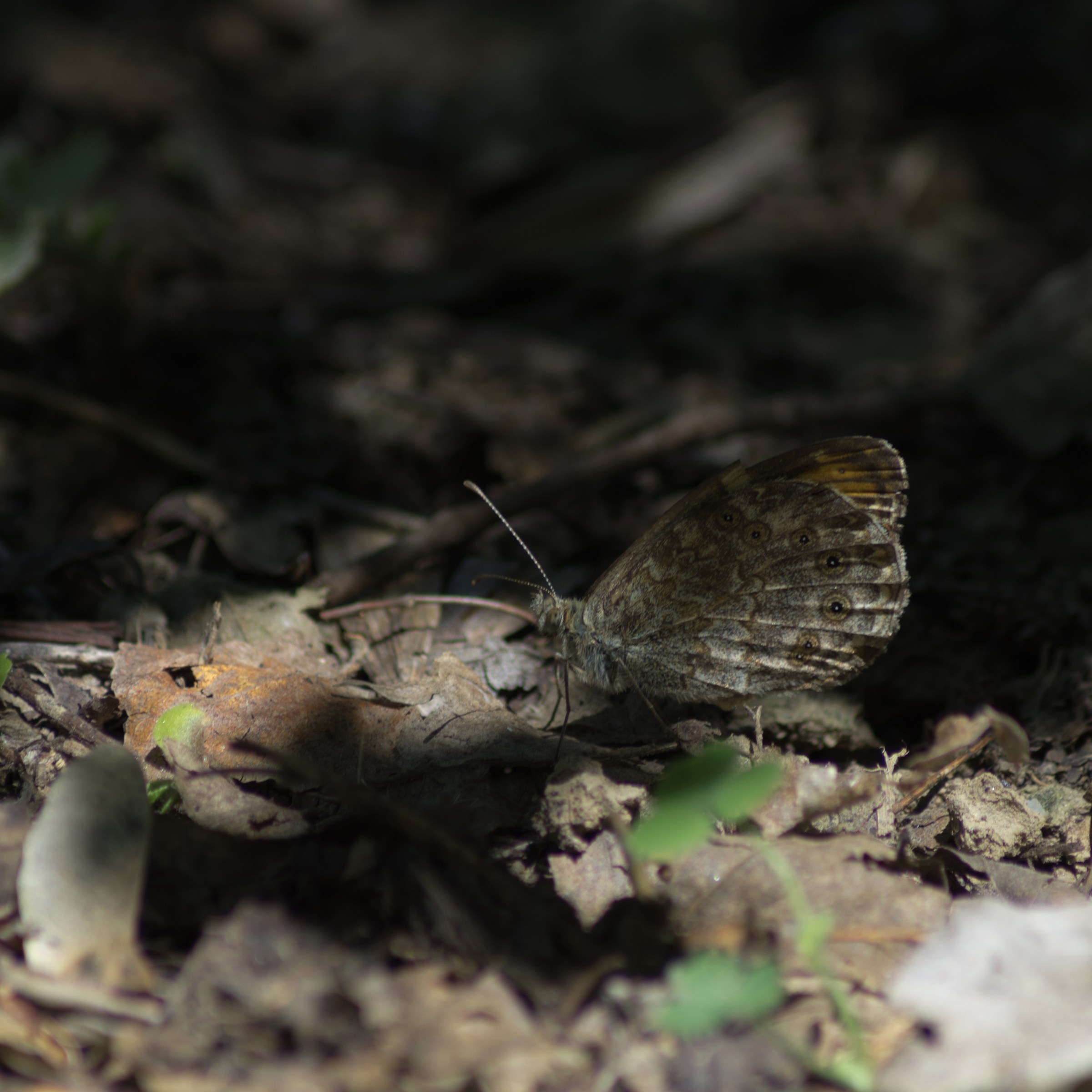 Sheltered from the Sun