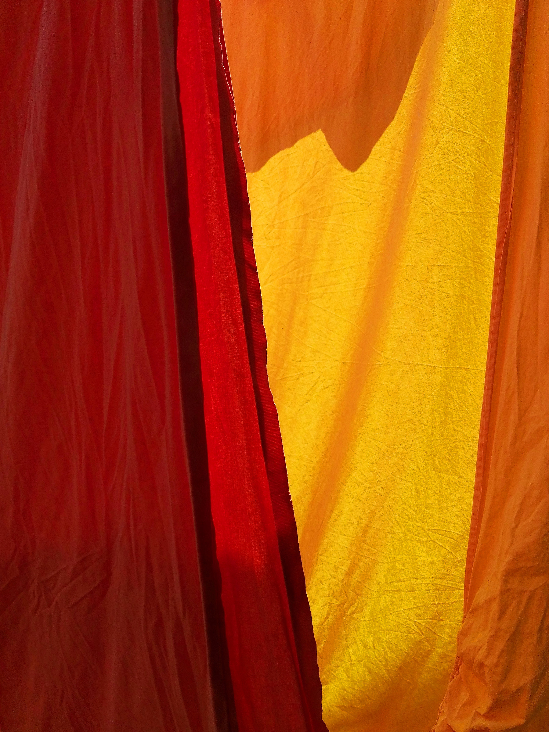 Oranges lying in the sun...