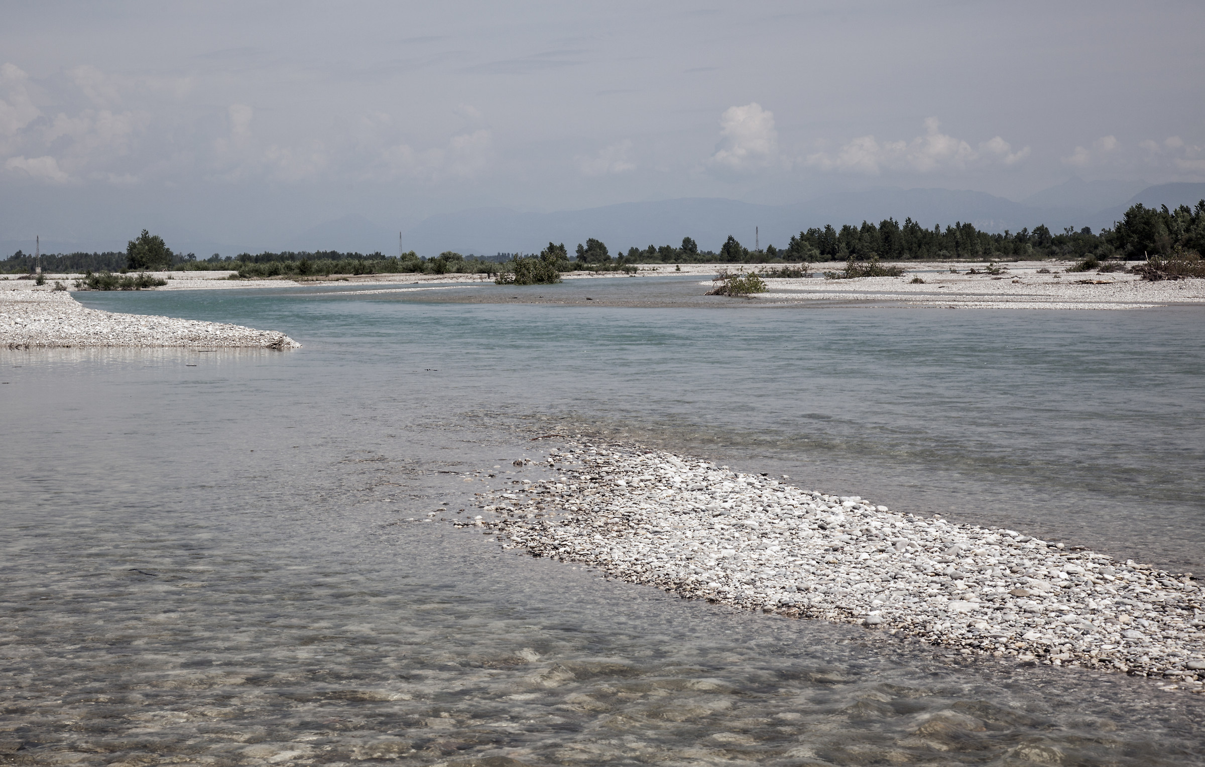 On the Tagliamento