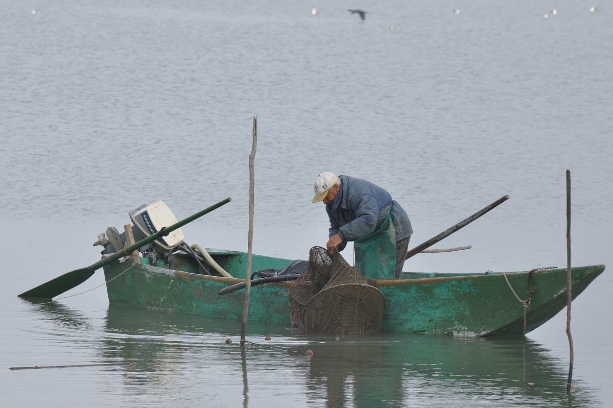 Pescatore di Torricella