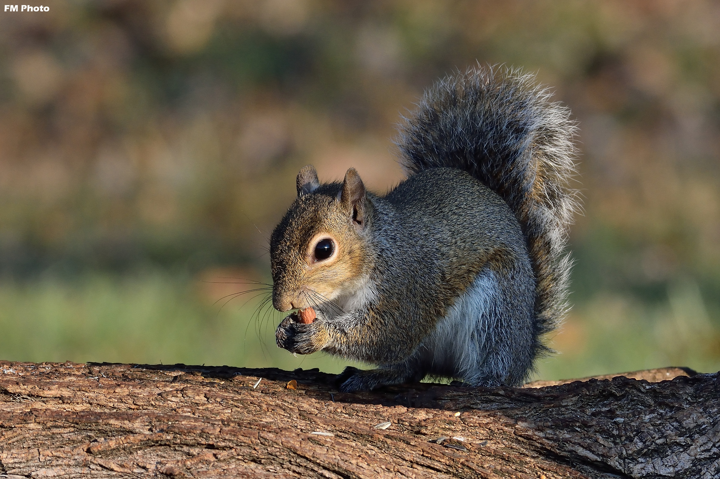 Baciato da un raggio di sole