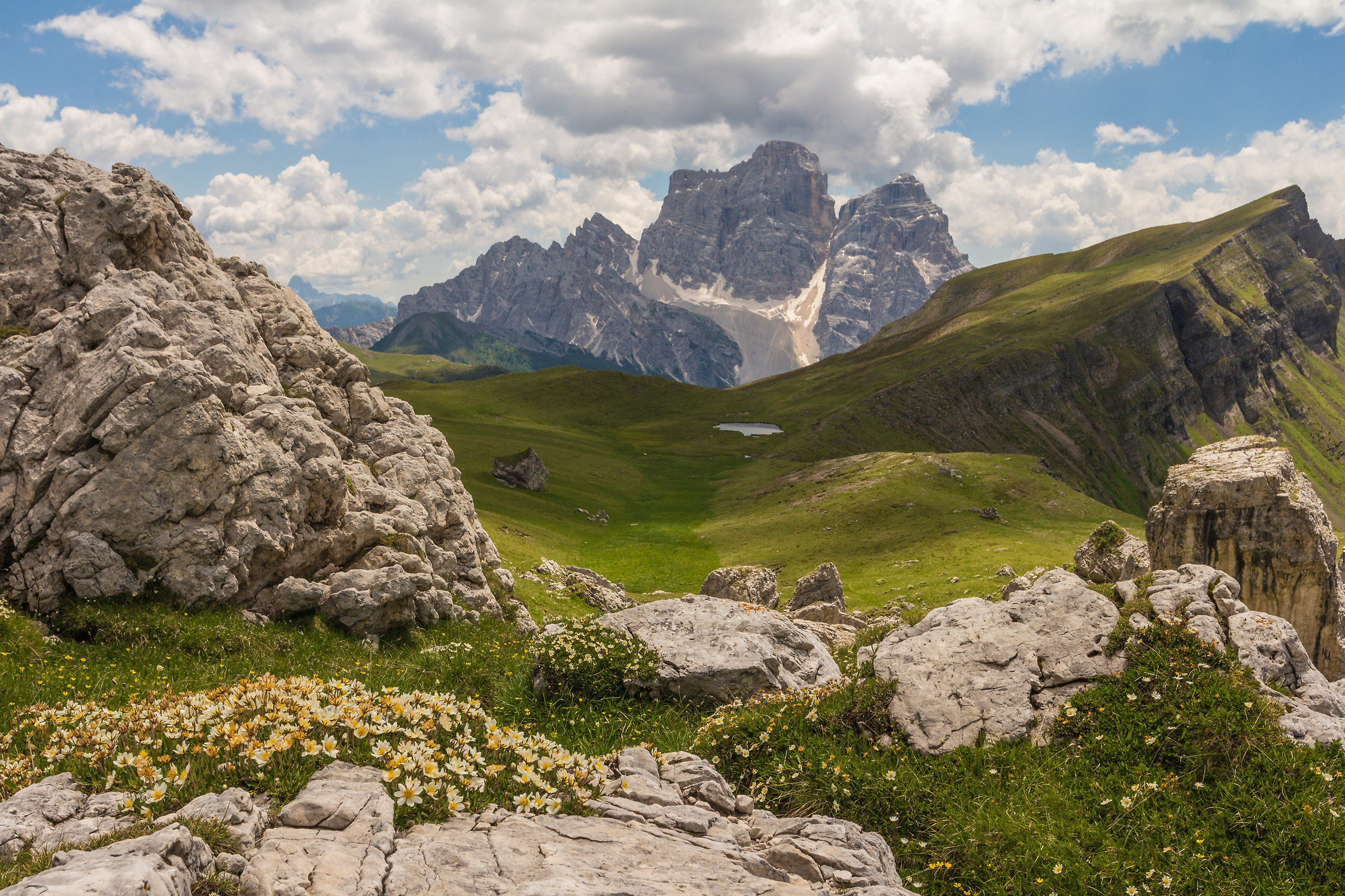 Lake between Flowers 2
