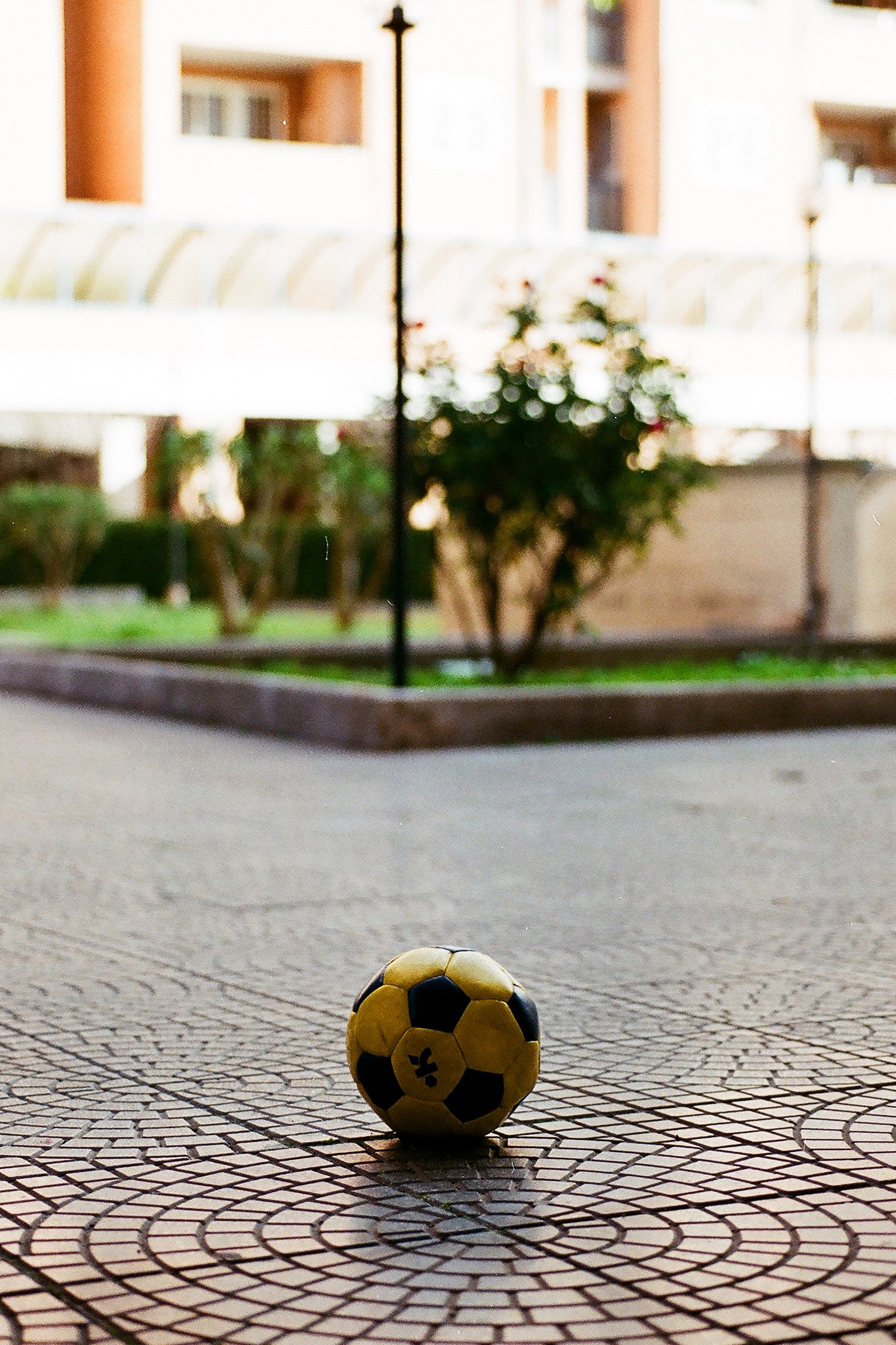 The loneliness of numbers 10