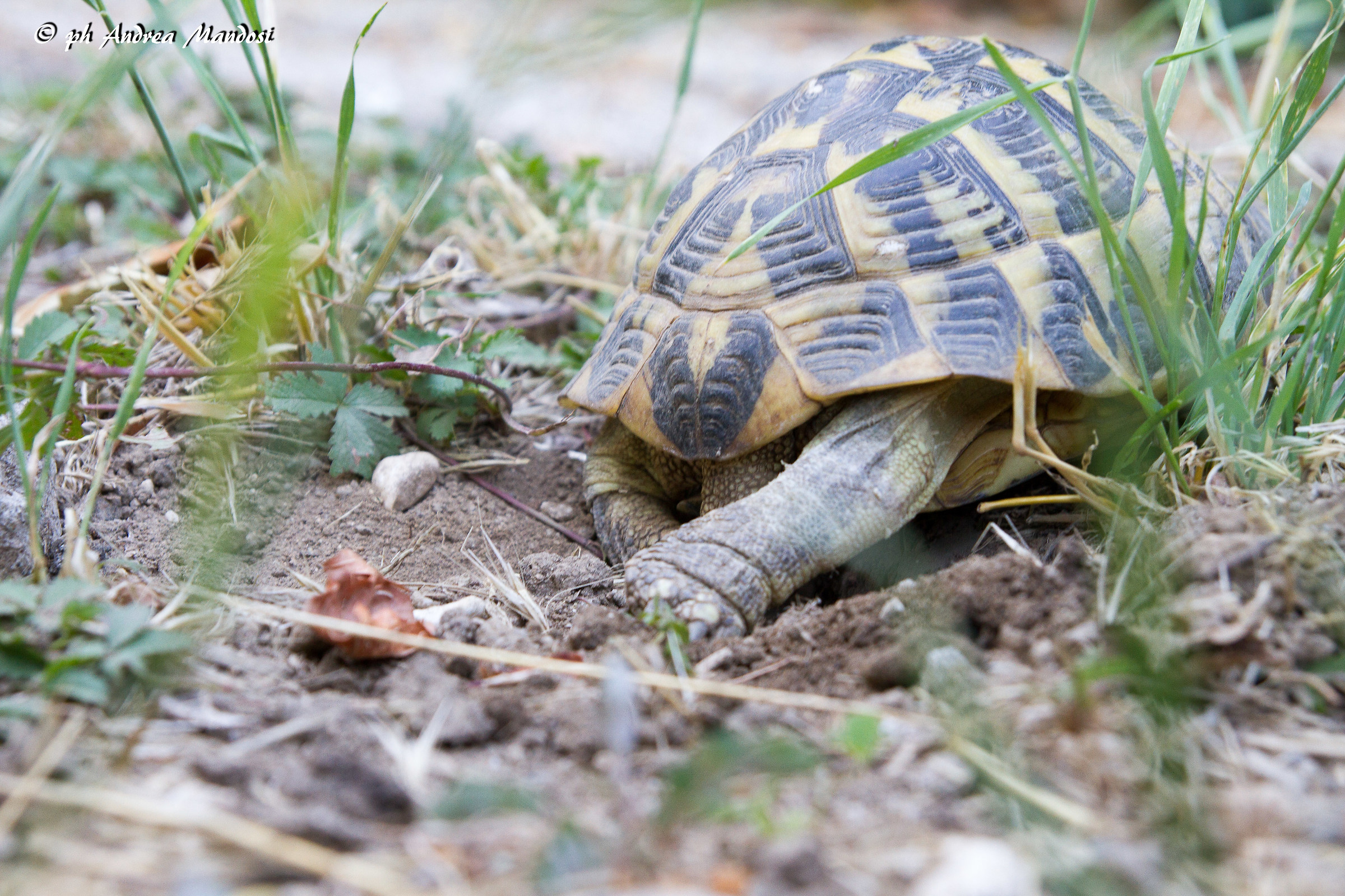 So you can't see anything...