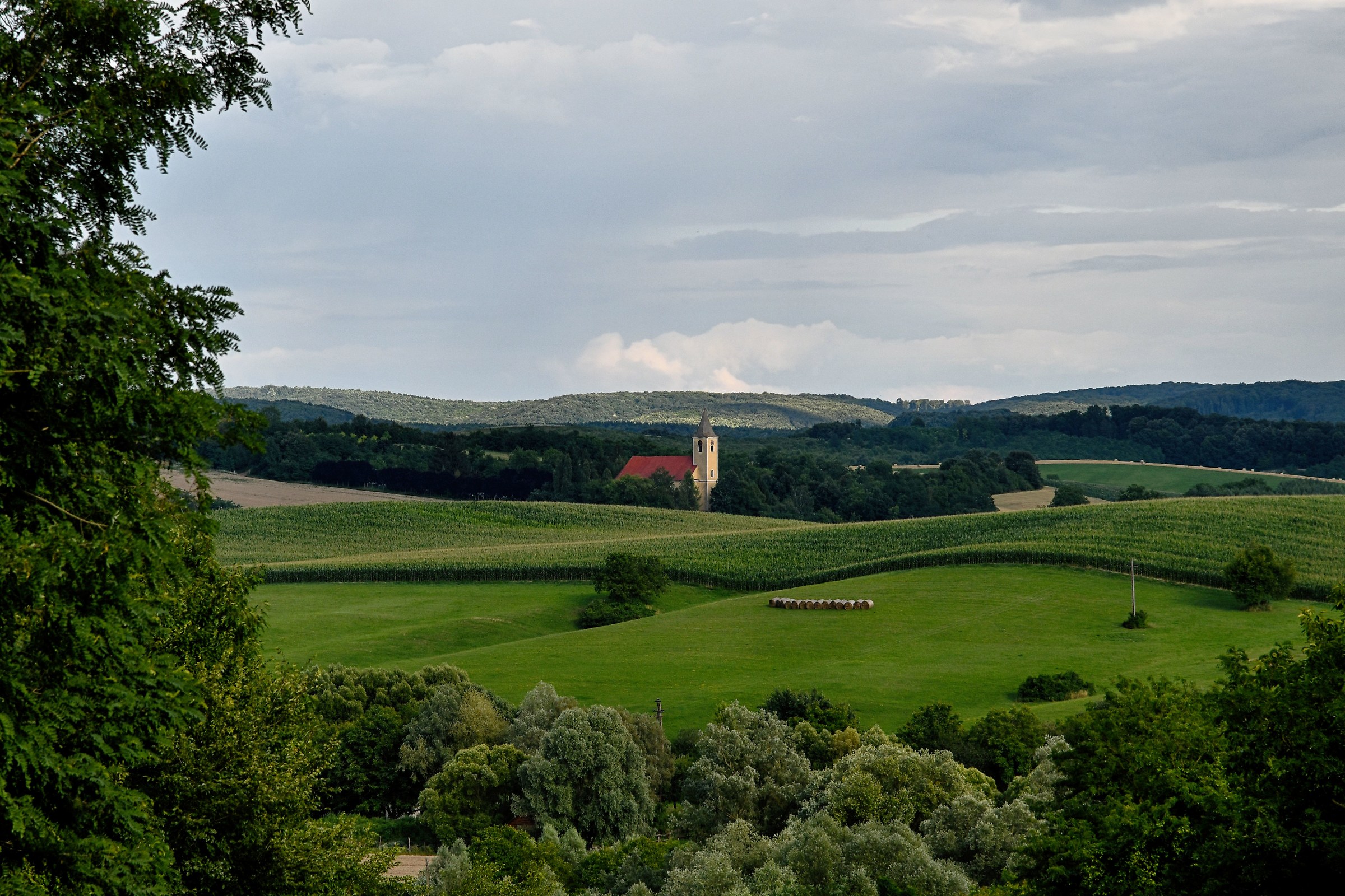 Paesaggio nel verde