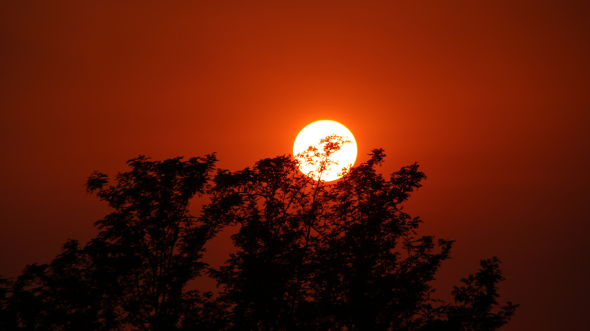 Red Sun