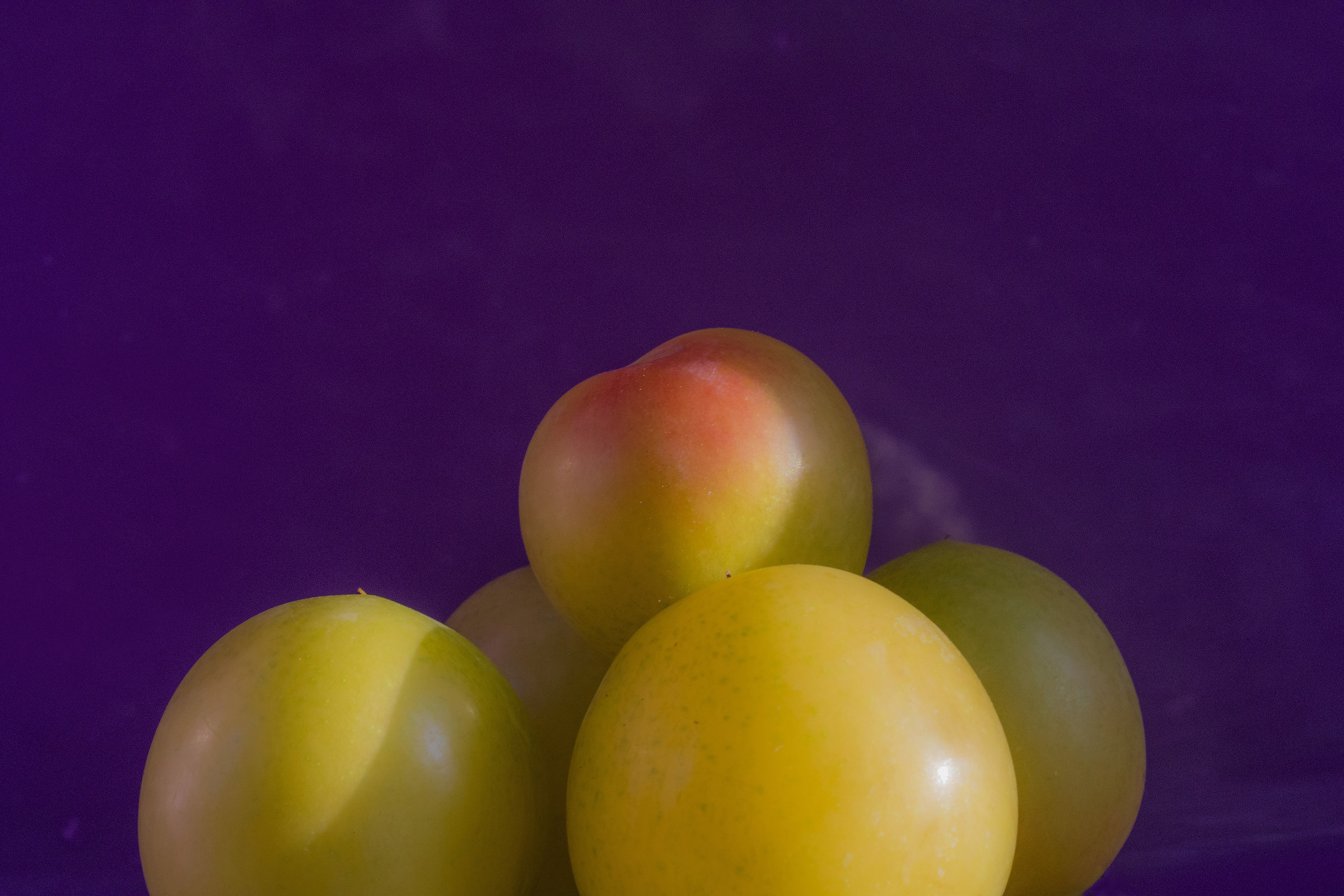 Four plums on plum background