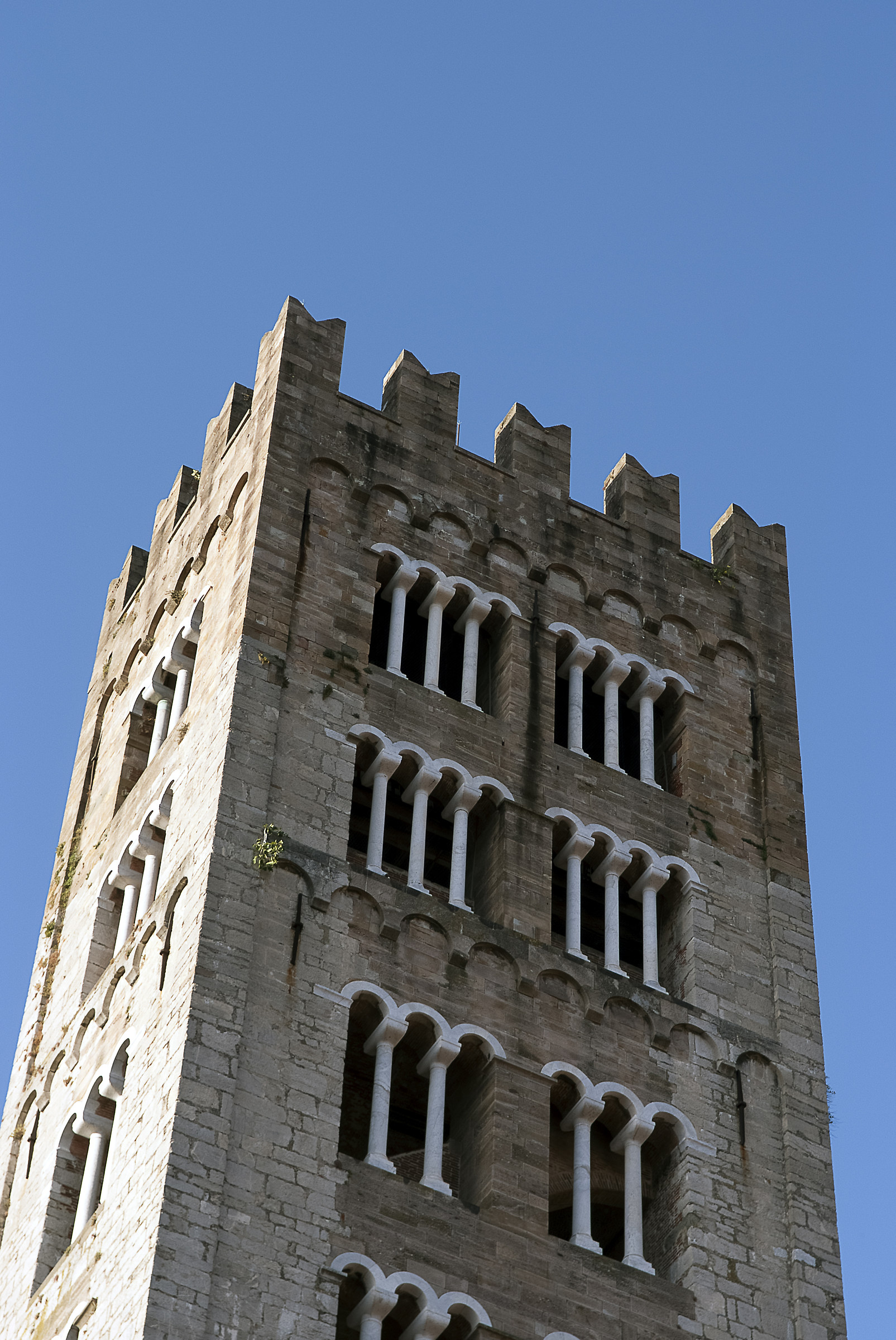 The Tower