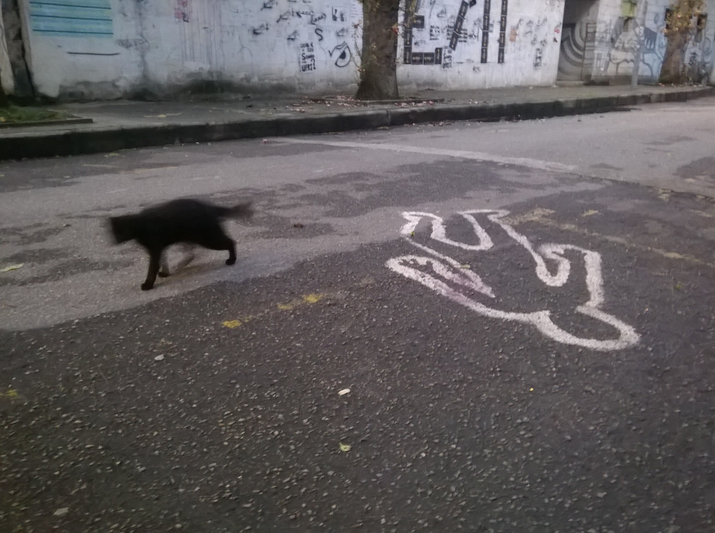 Moment/Surreal Place