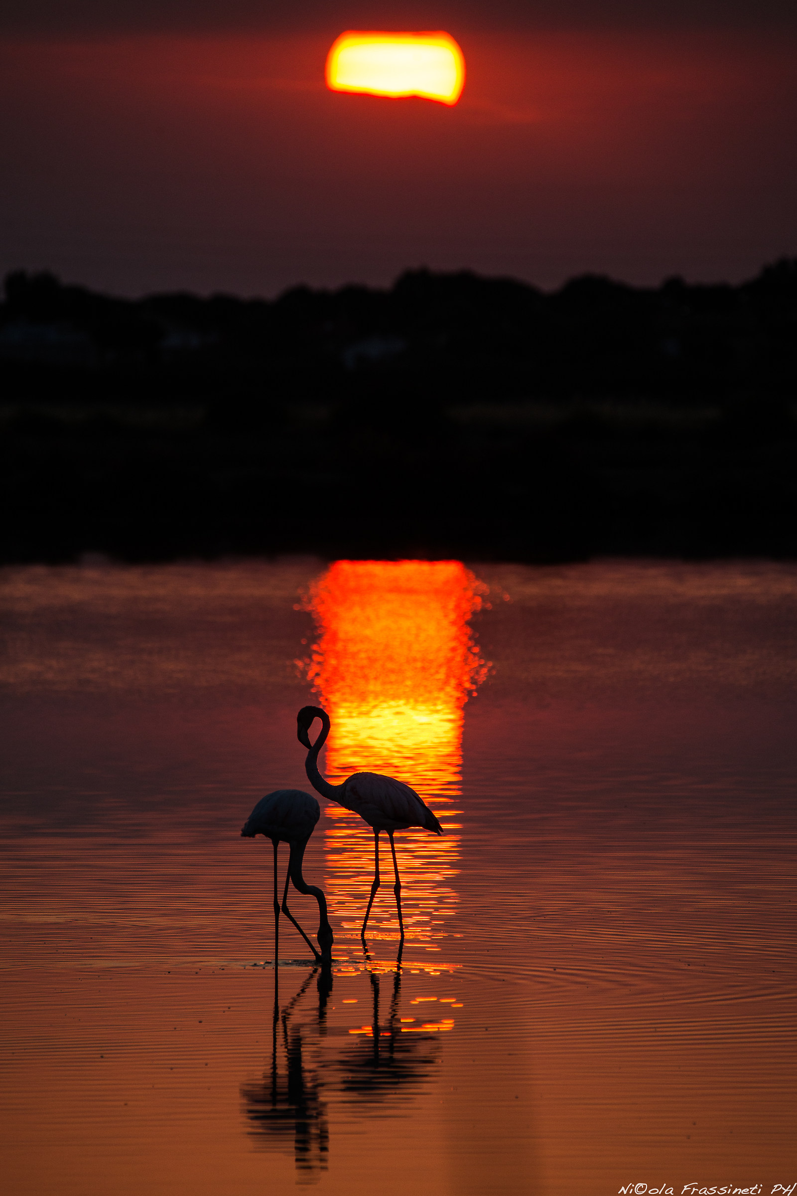 The dawn of a new day