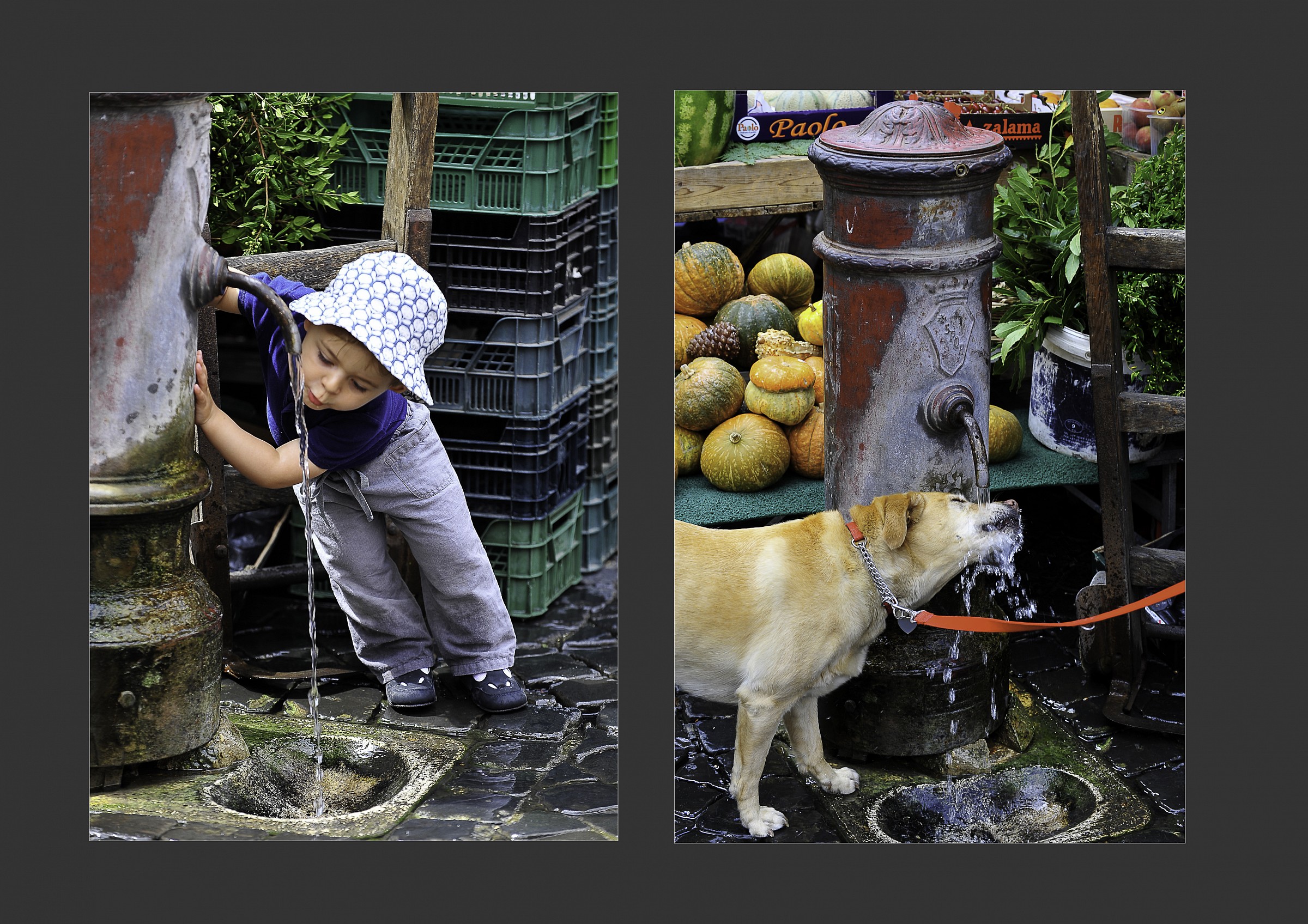 Due,fra le tante funzioni del