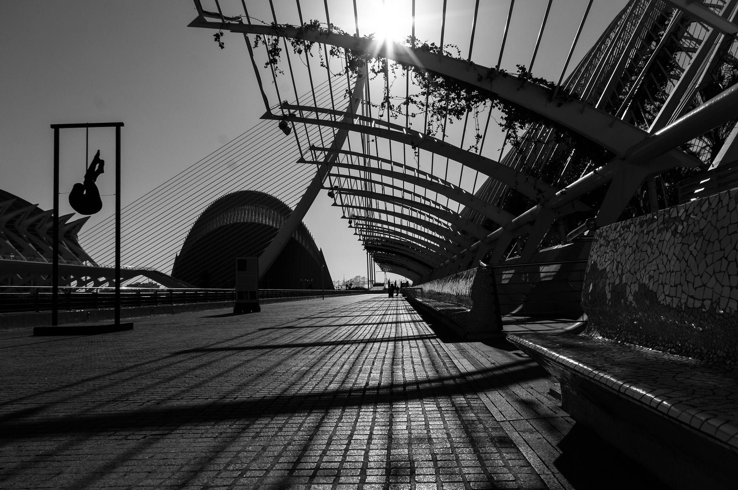 Valencia black and white