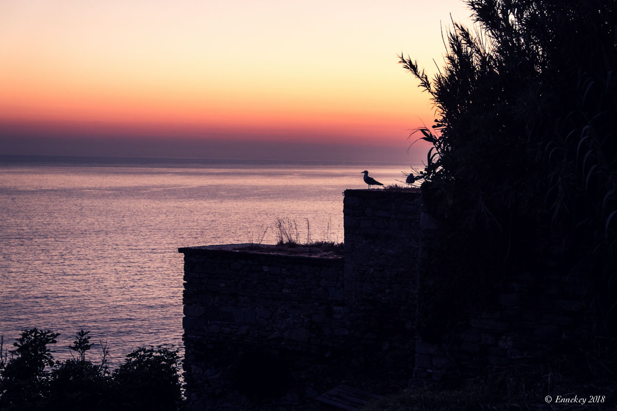 Alla fine del giorno