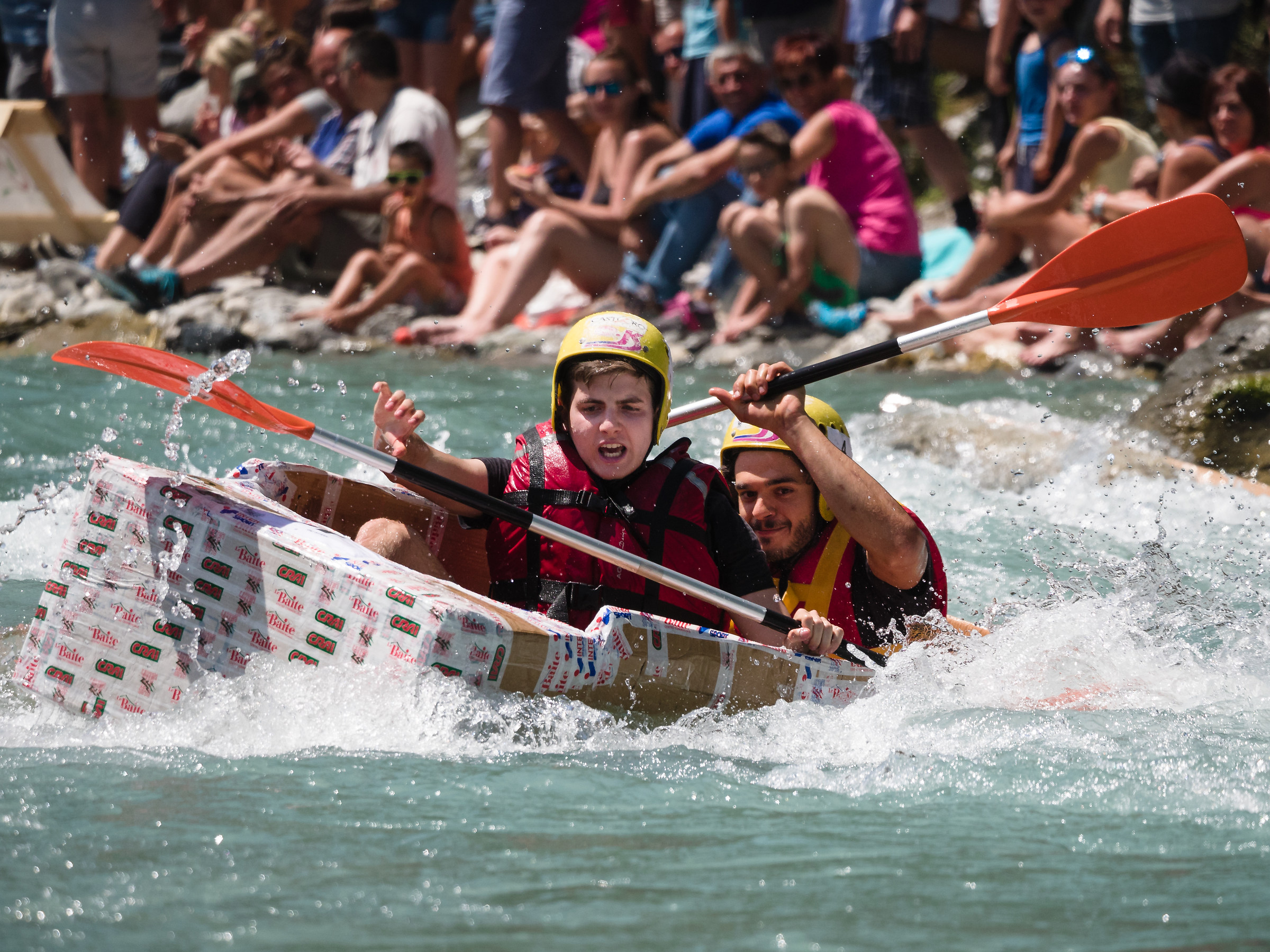 Carton rapid race , 2018