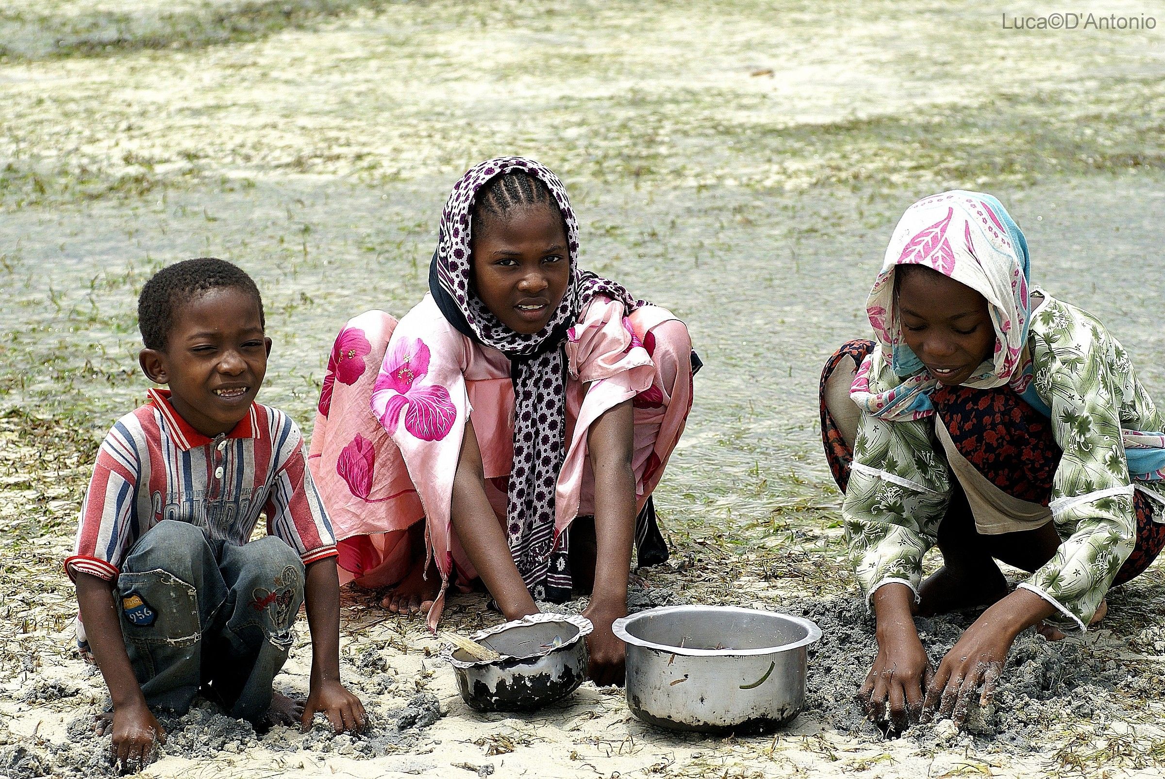 La raccolta del Pesce