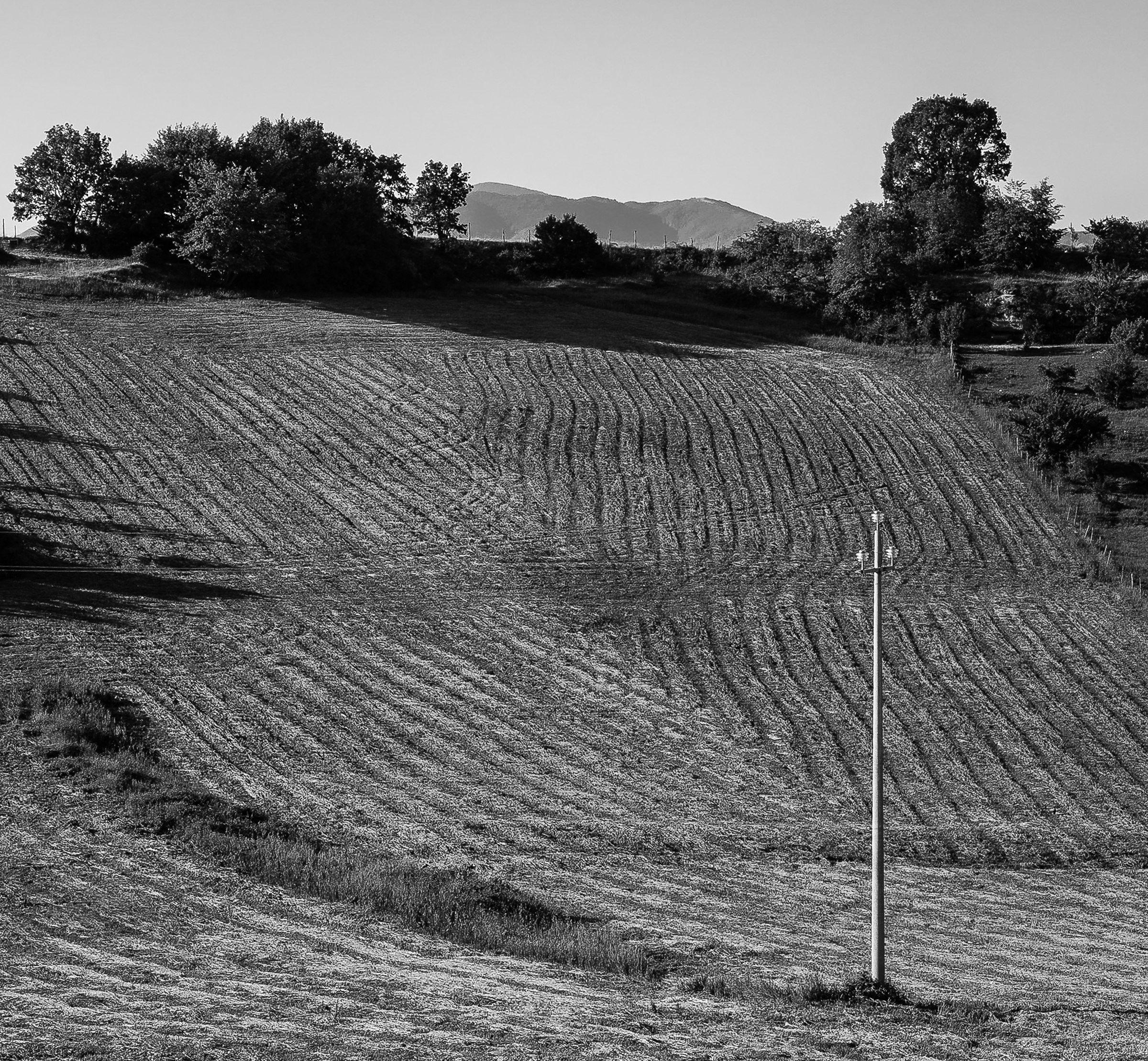 Scratches in the ground...