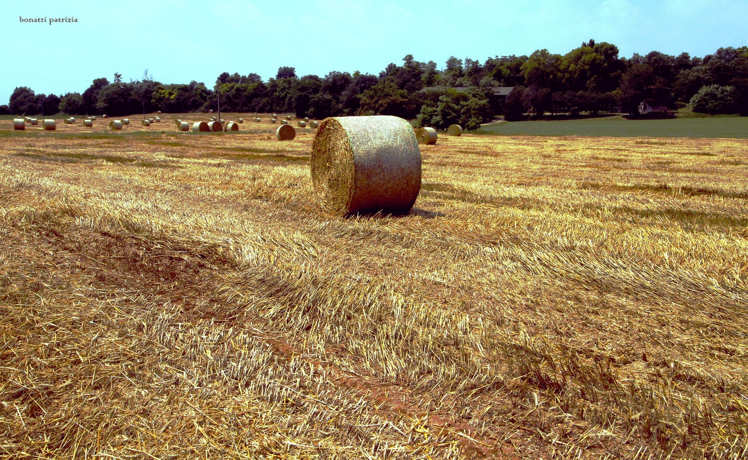 Le cose non fatte alla luce  del sole, mi lascieranno s