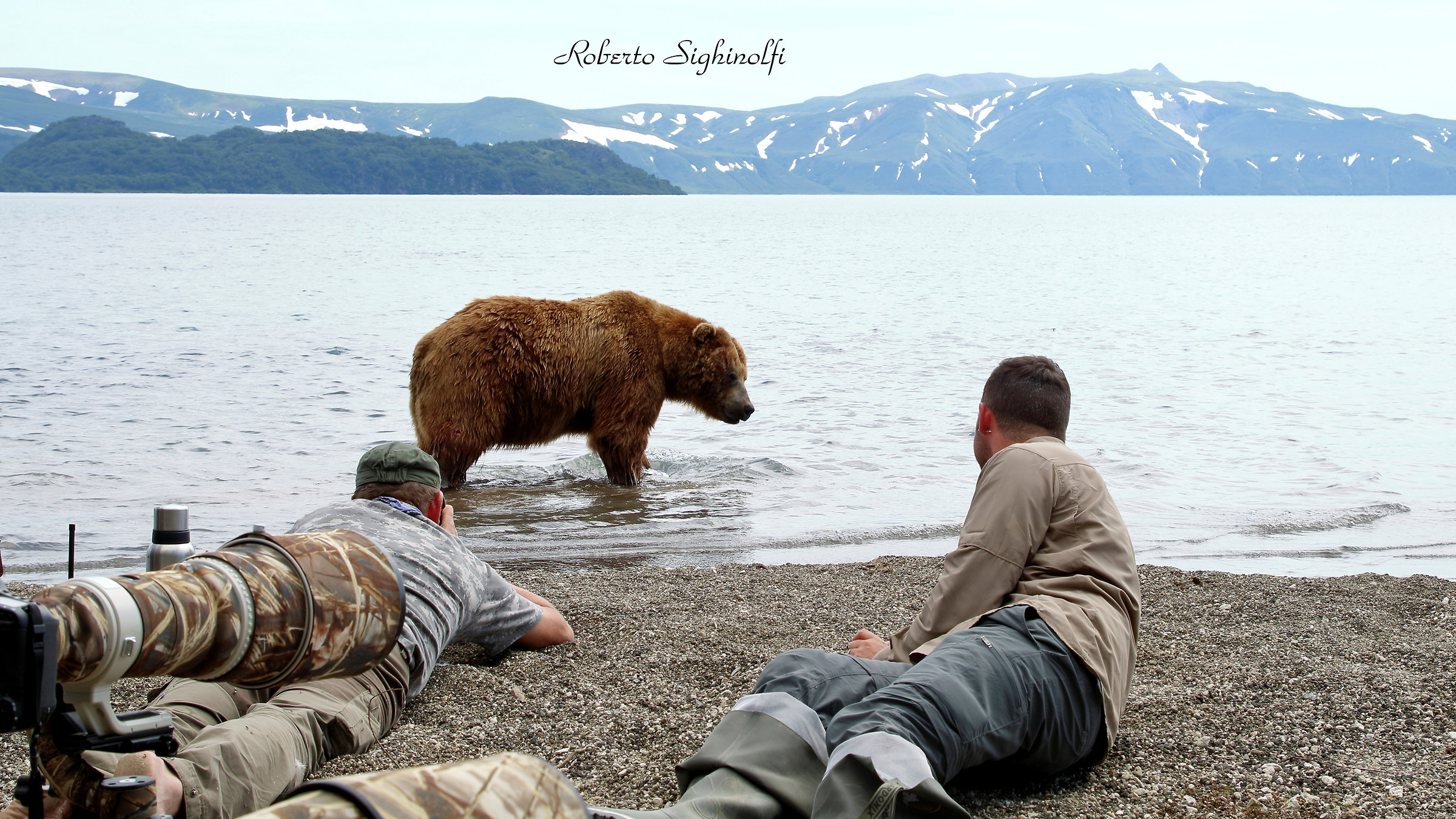 Passeggiata tranquilla, occhio agli umani !!