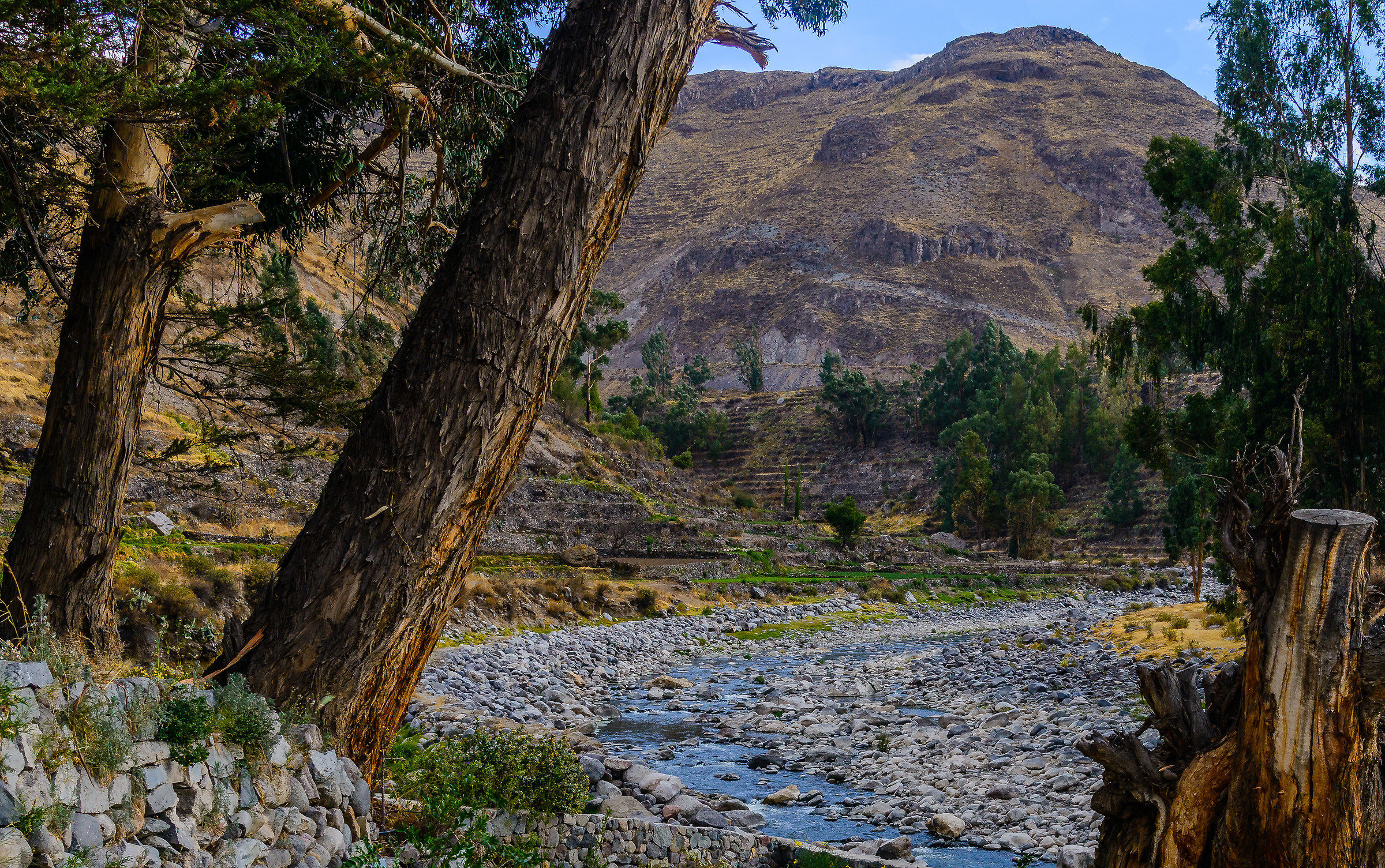 Canyon del Colca 1