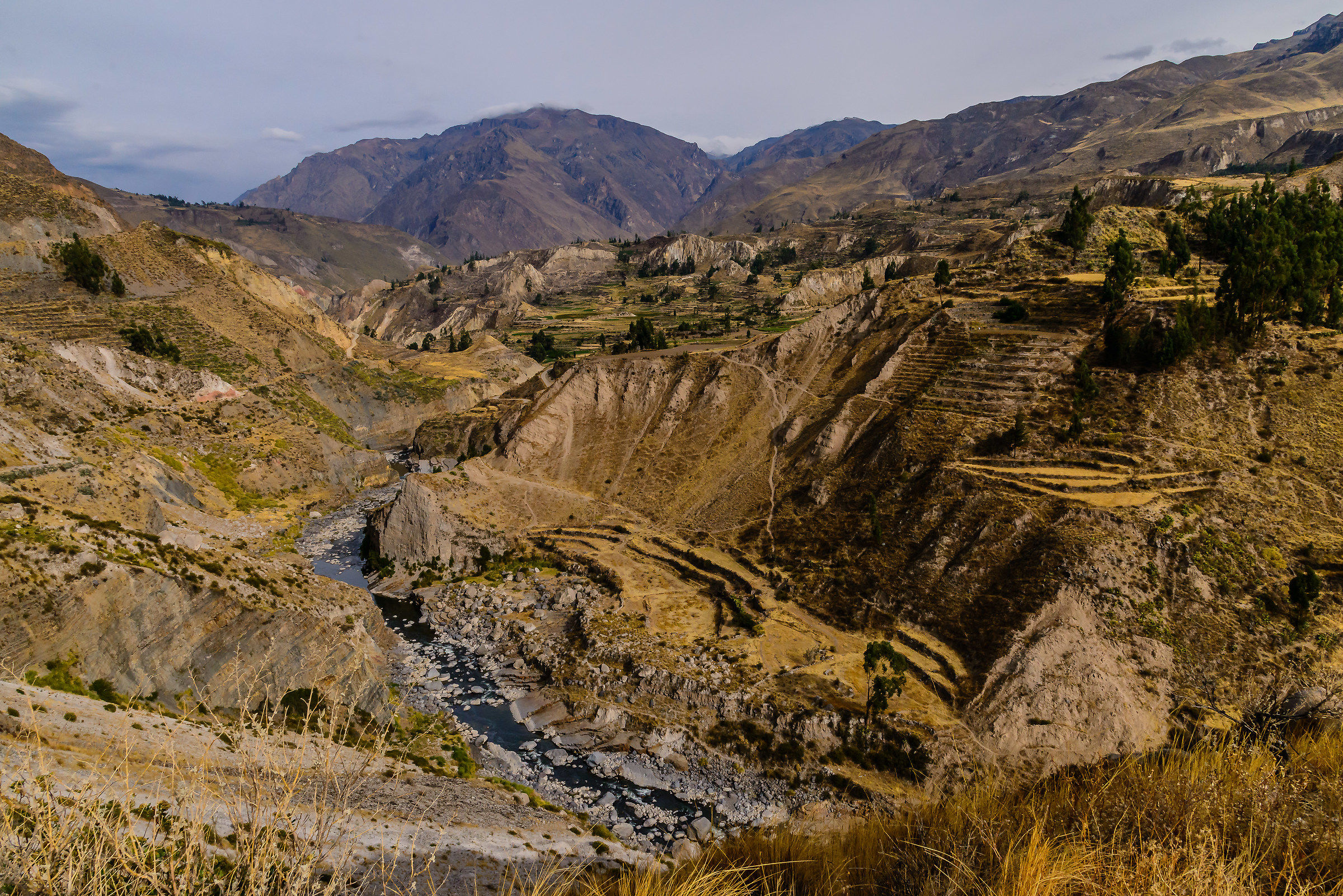 Canyon del Colca 2