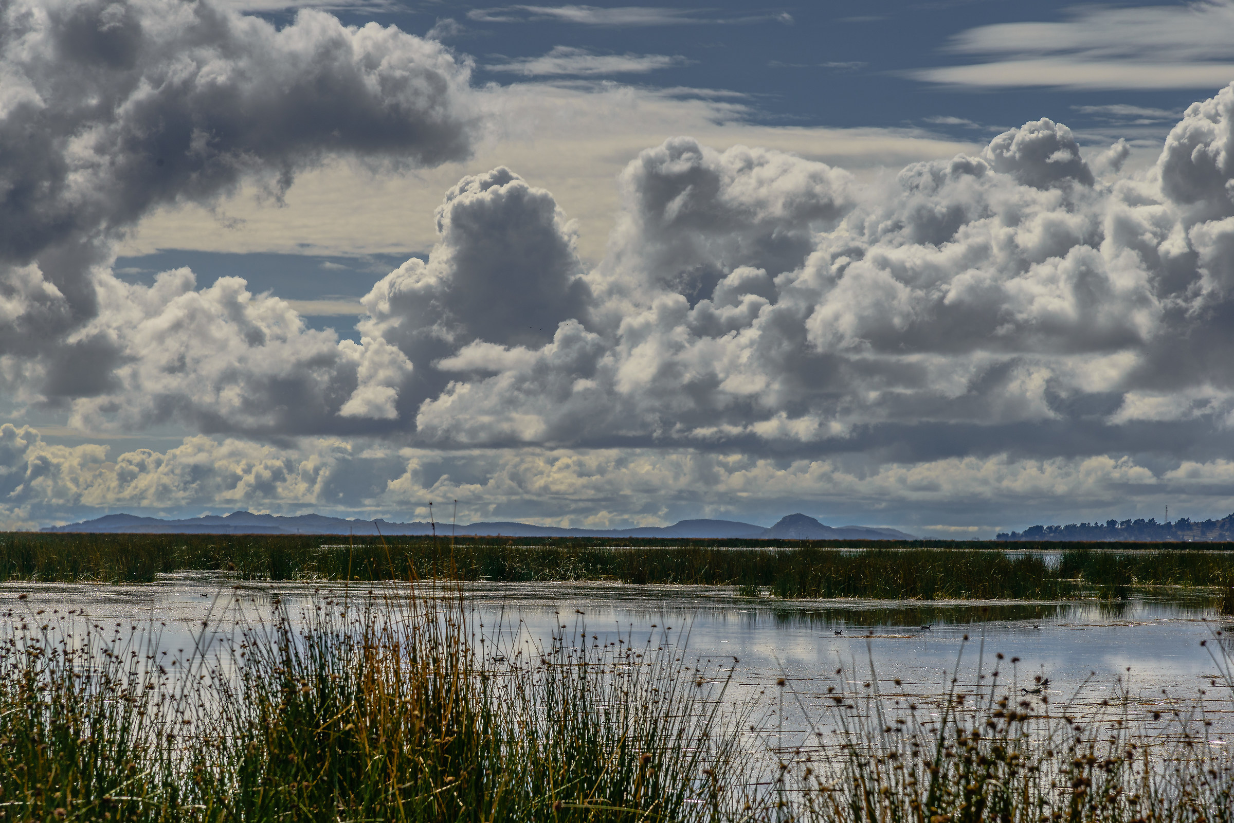 Lago Titicaca 1