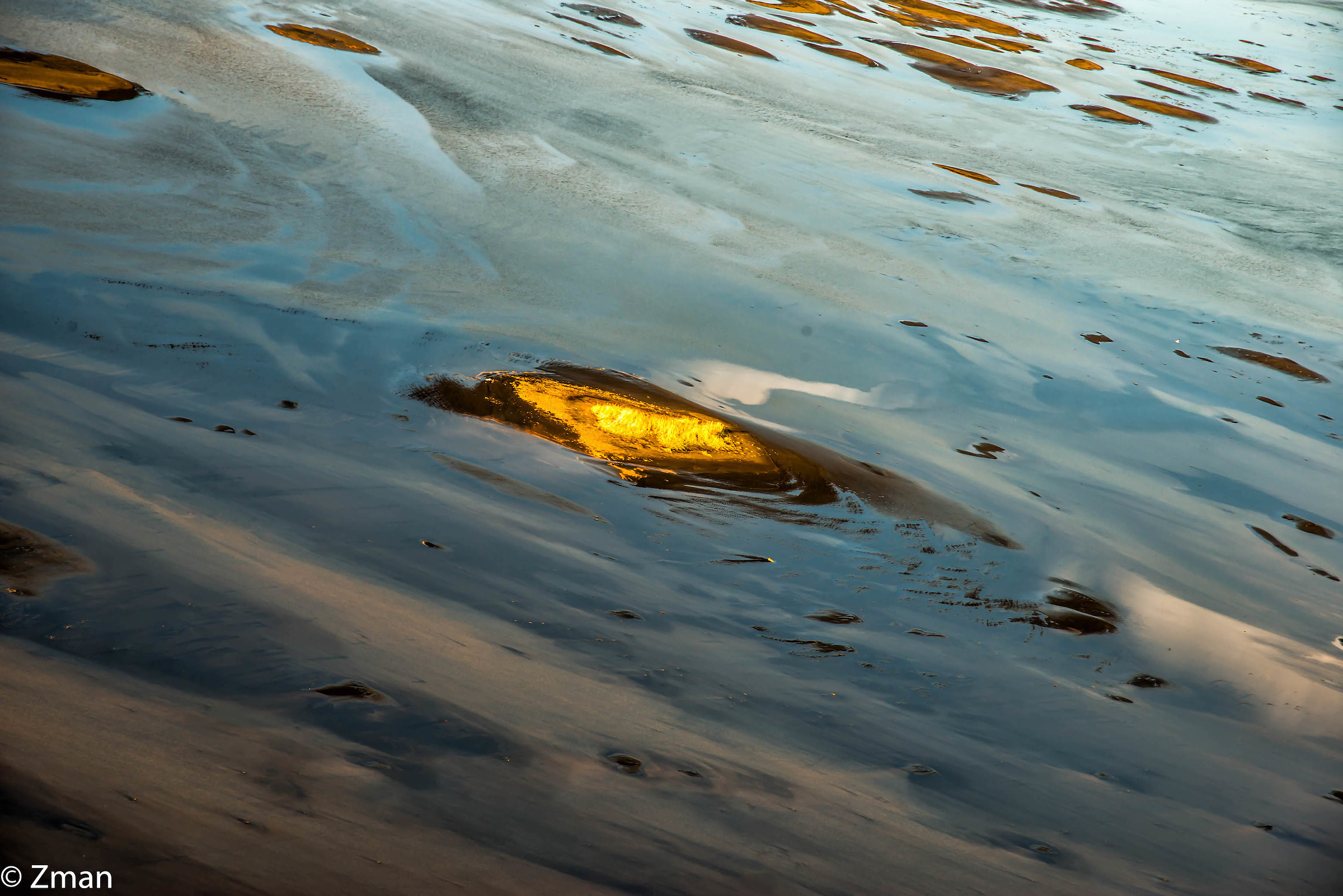 Arte naturale astratta