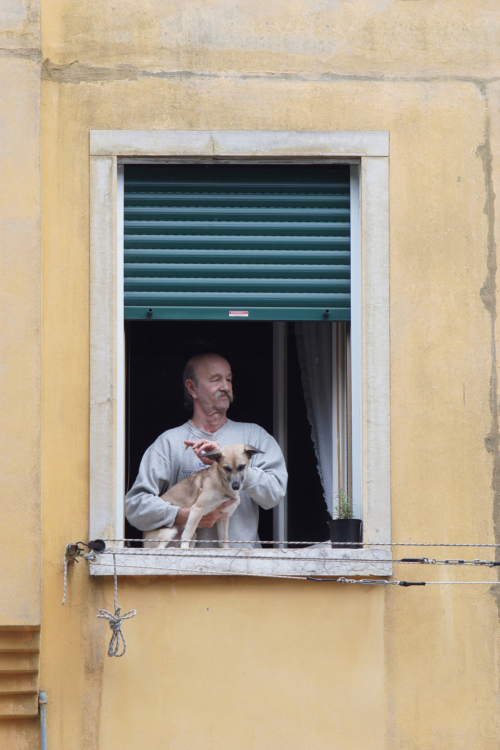 Man with dog at the window