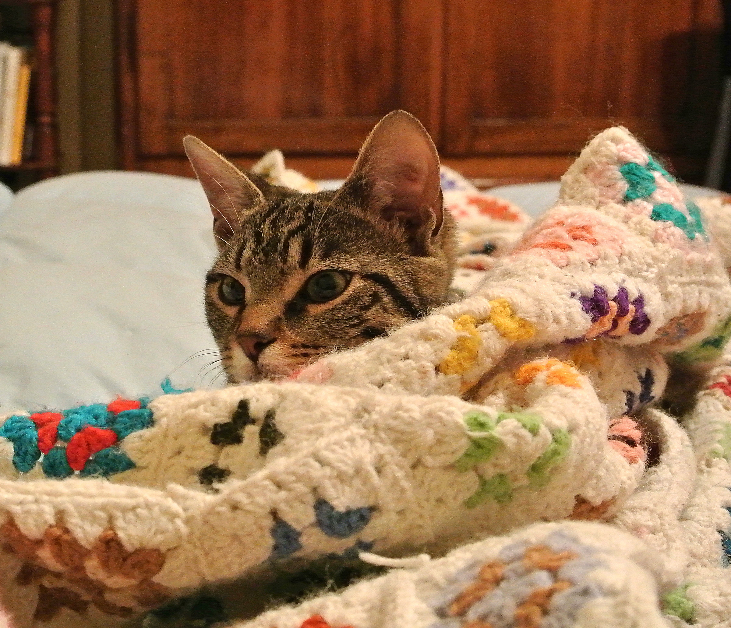 Is it time to get up?