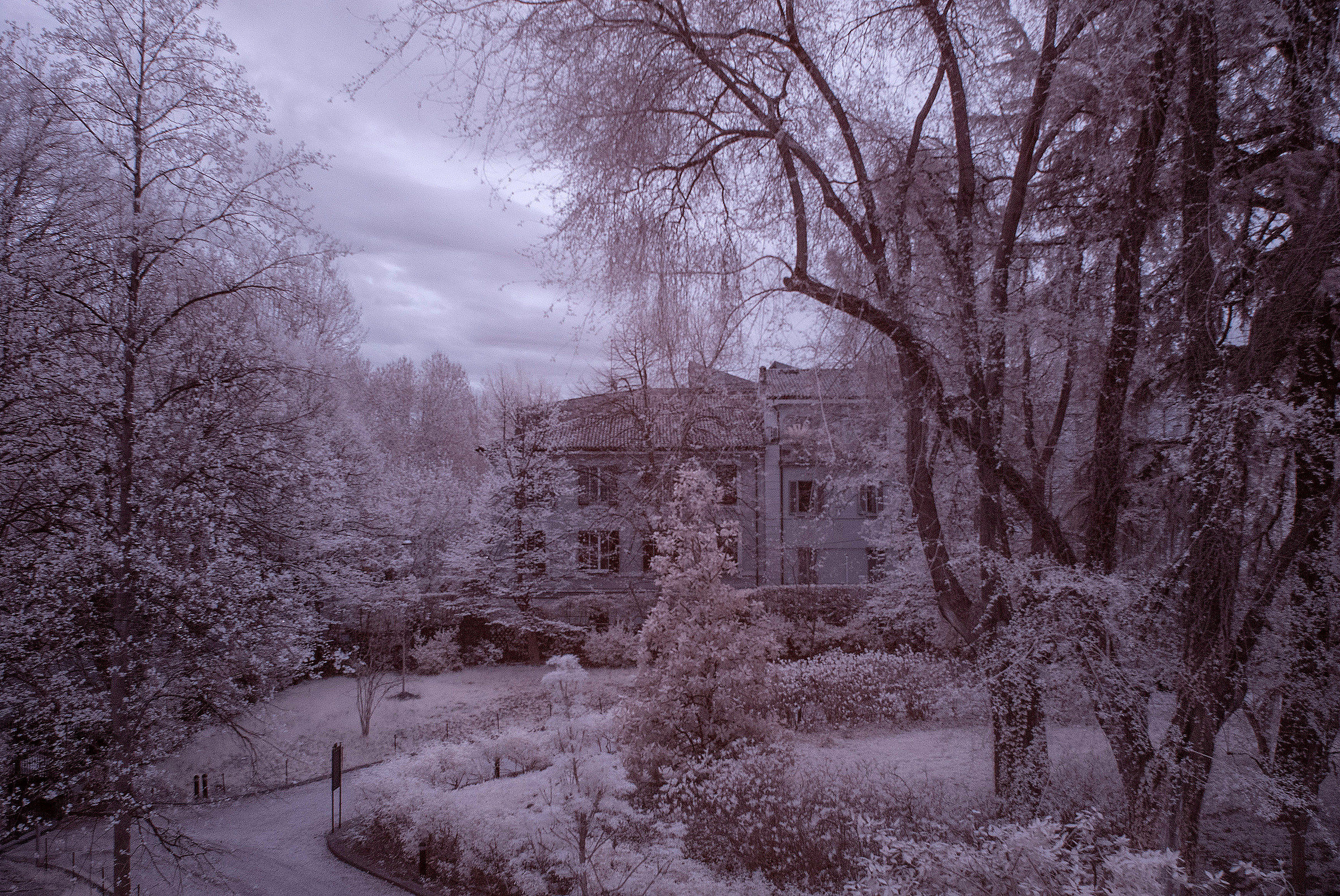 The House of Witches