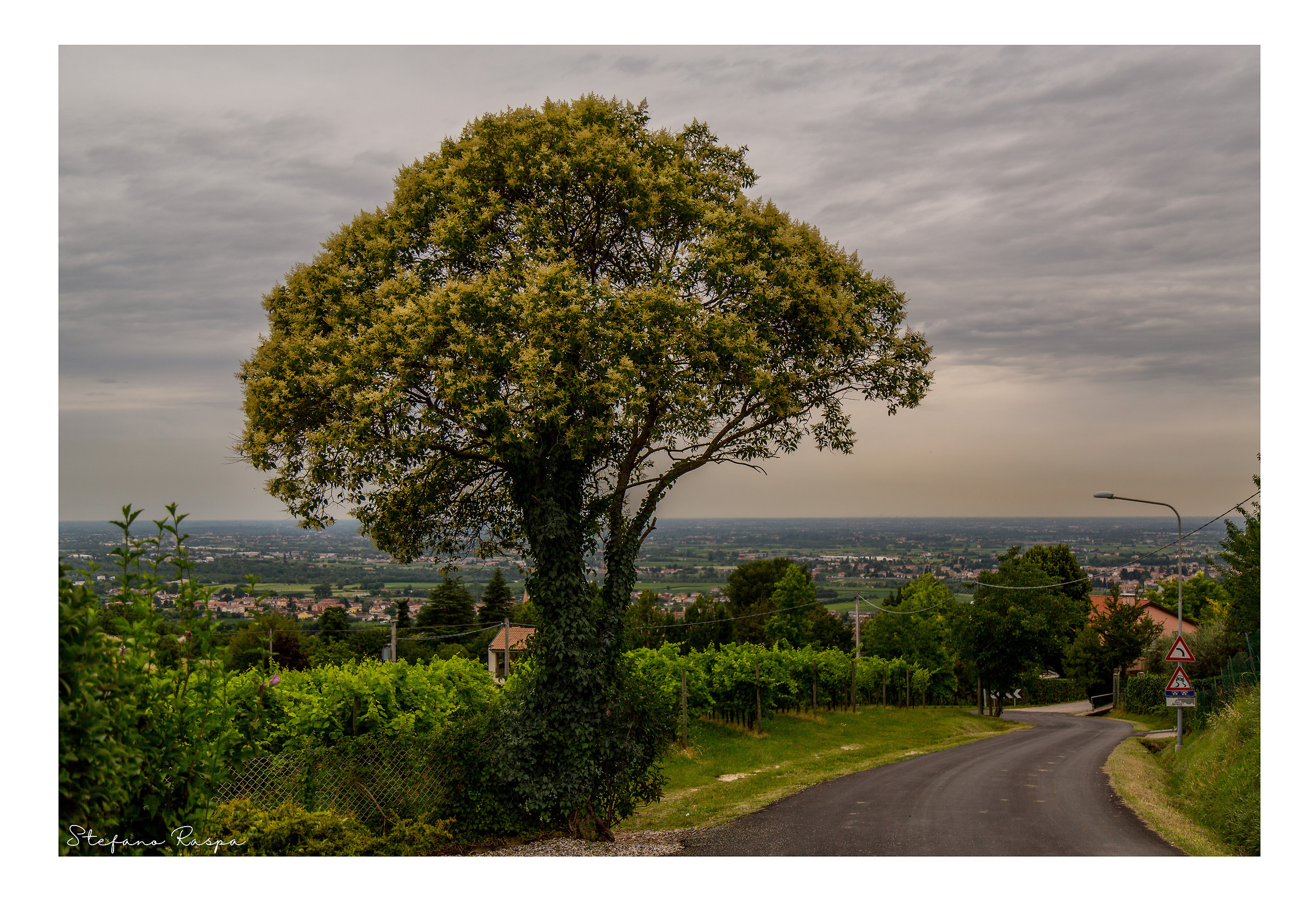 Susegana, verso il tramonto.