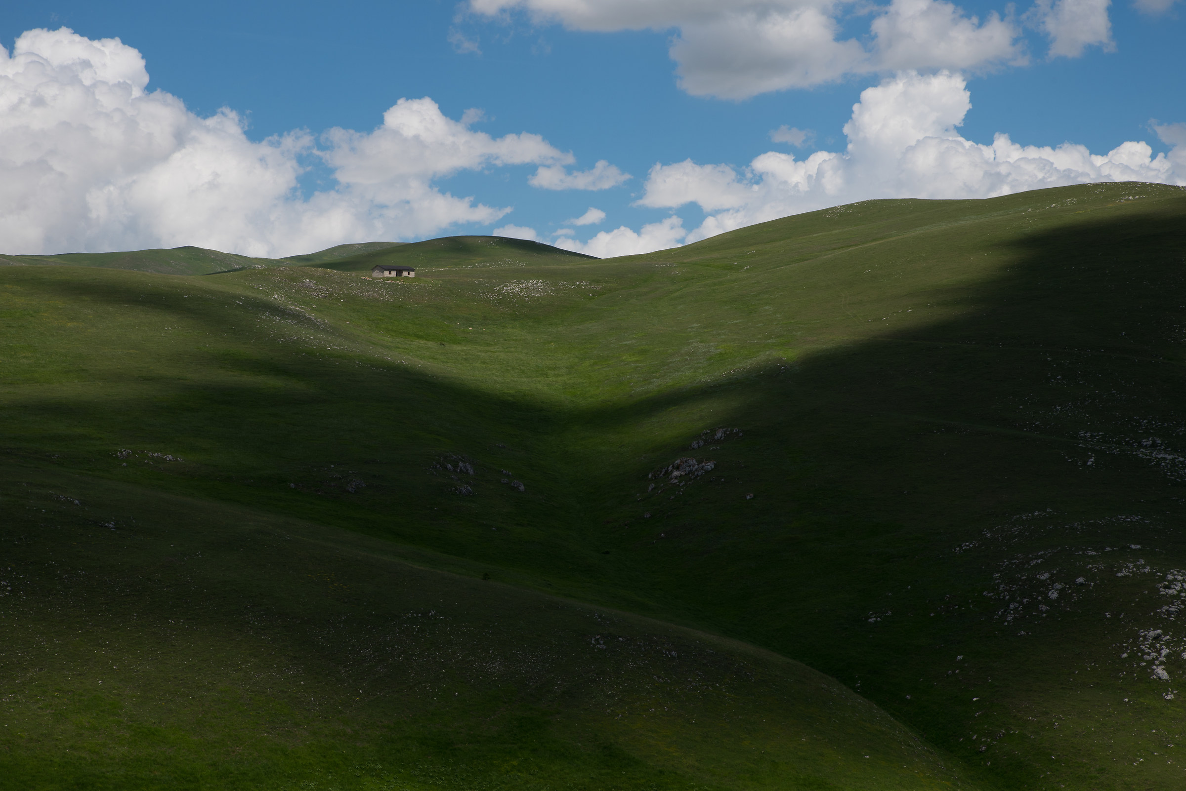 Windows XP