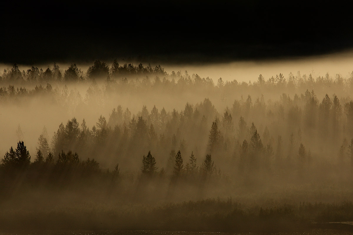 Exit glacier national park