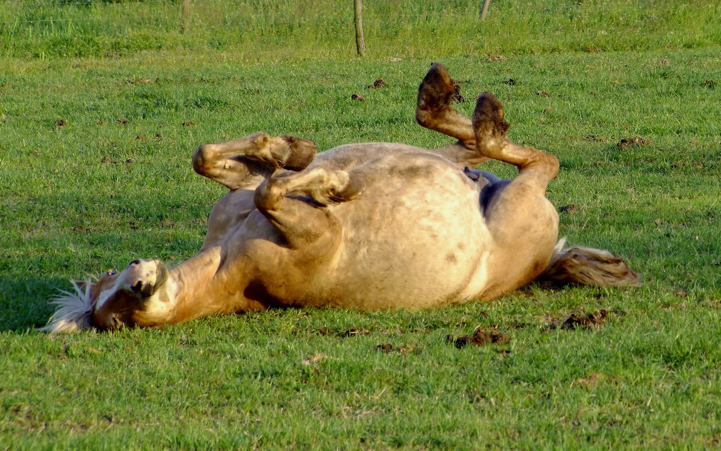 I'm really tired today!