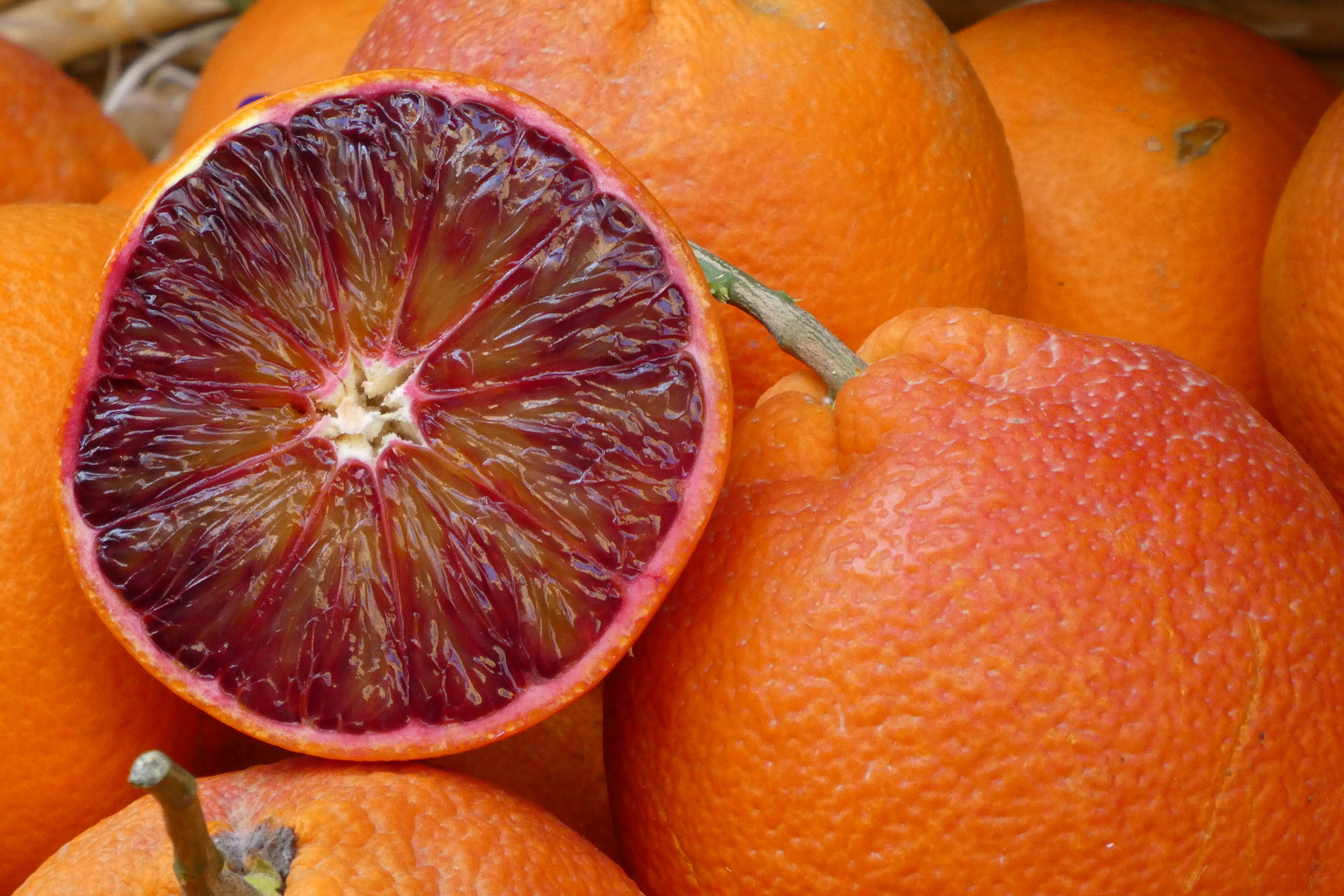 Il tempo delle arance