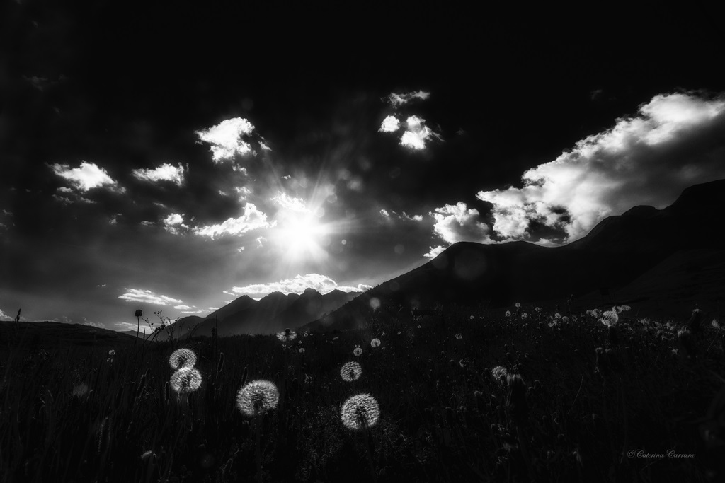 Backlight of gleams and blowers