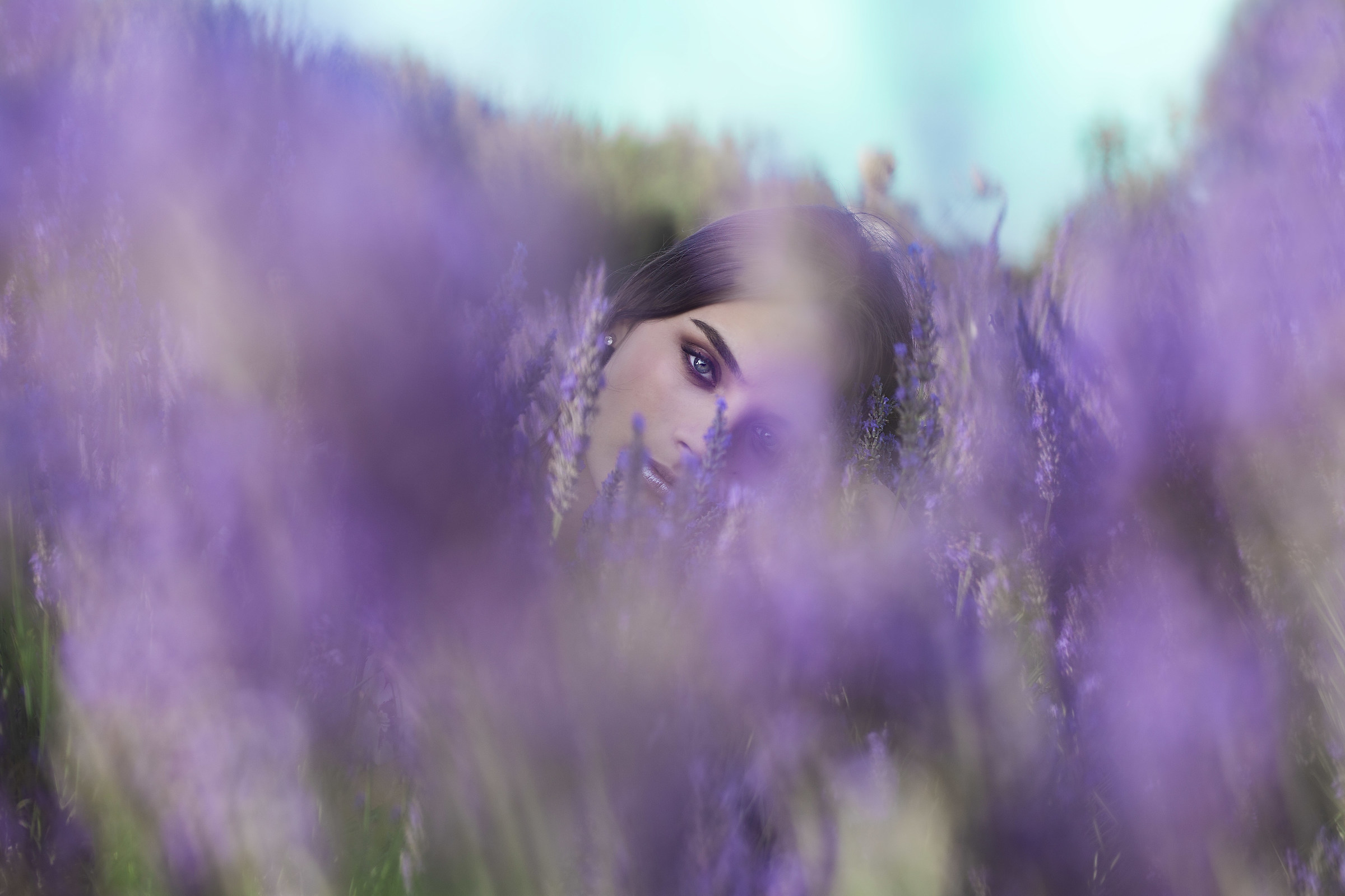 Brush strokes of lavender with Miriam
