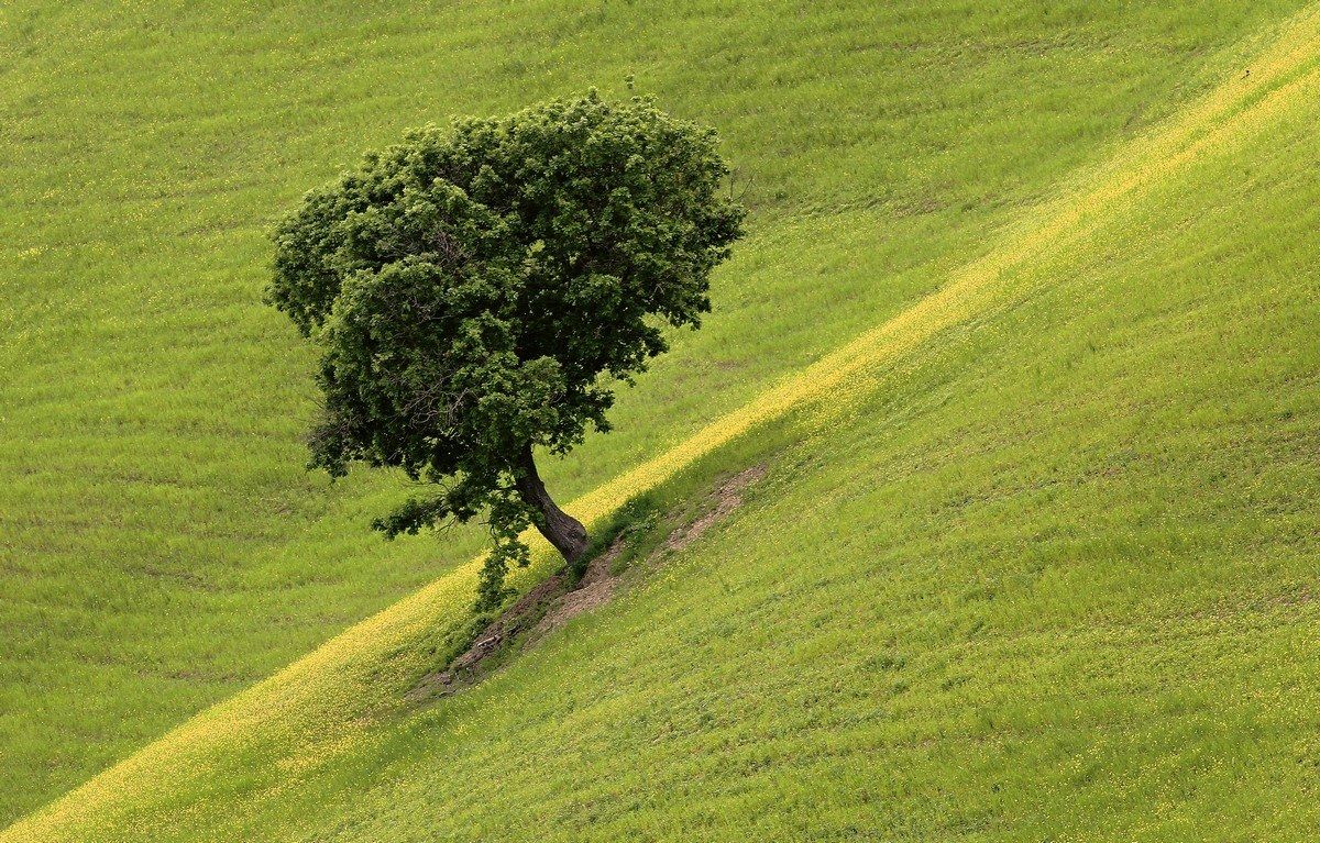 No slide, no slide.....