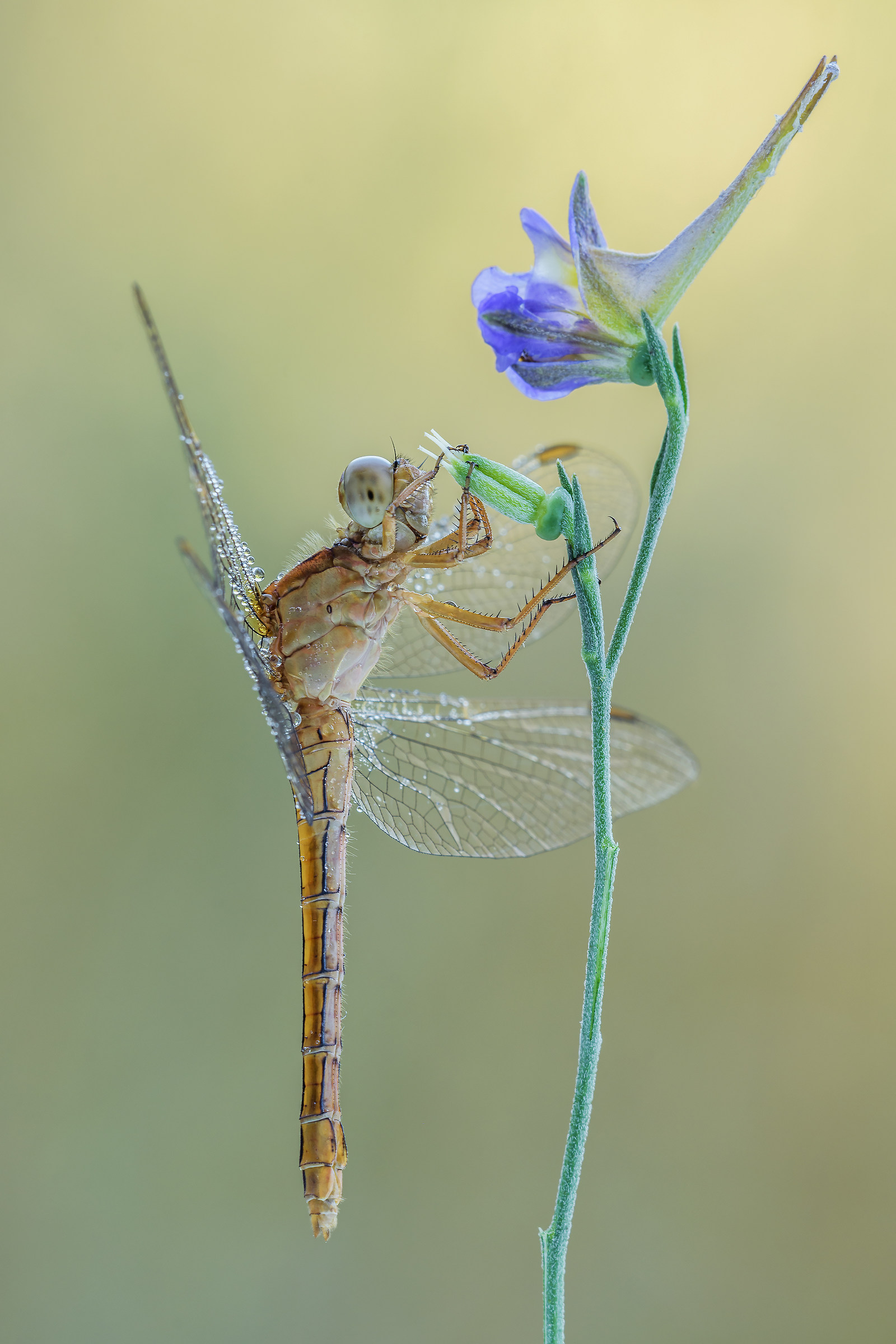 Under the lamppost...