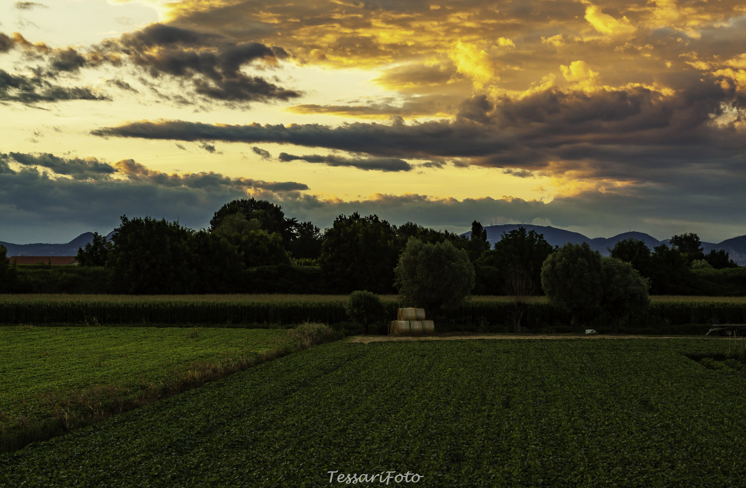 Heavenly Visions behind Home