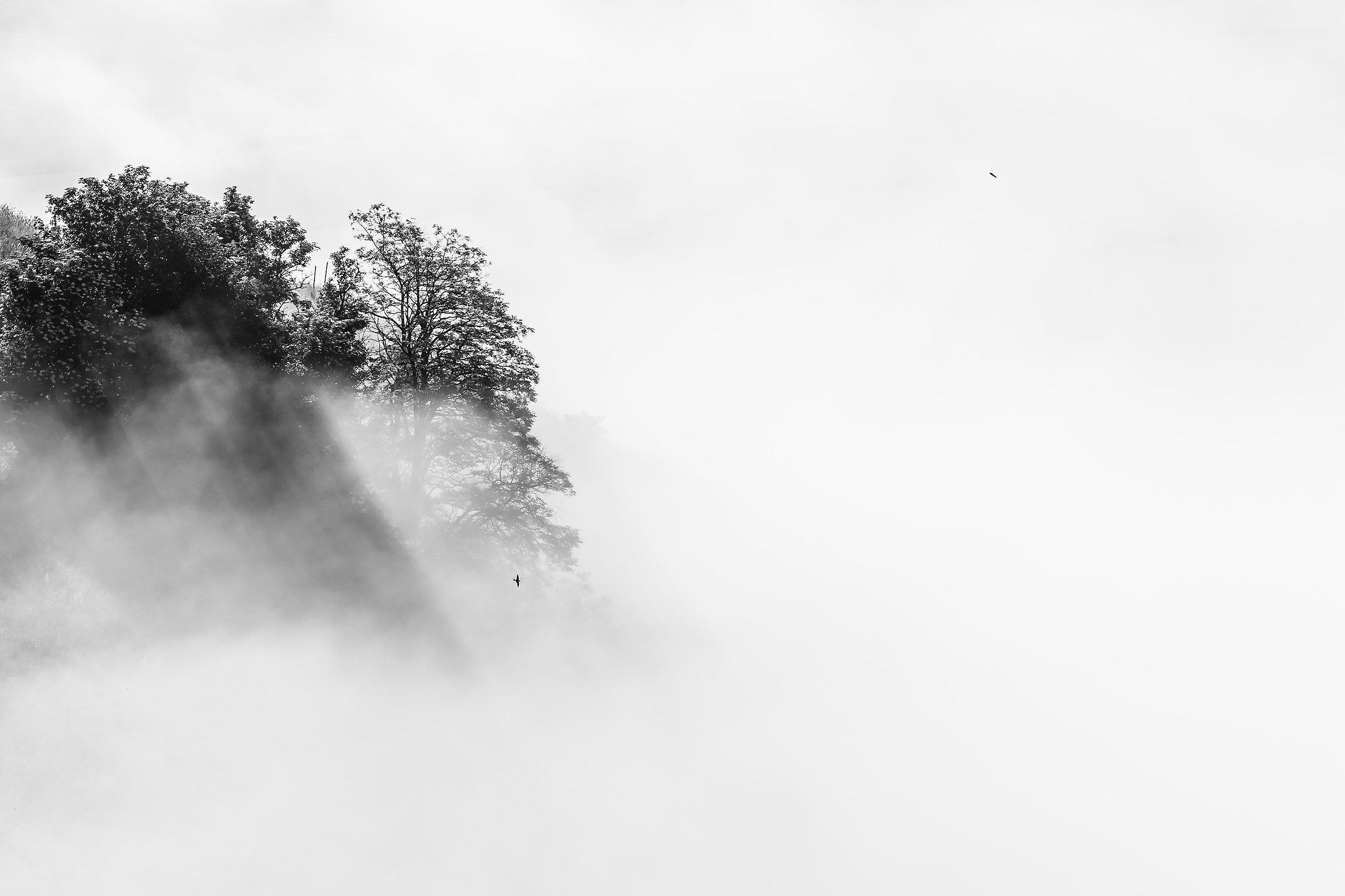 Life is coming back slowly